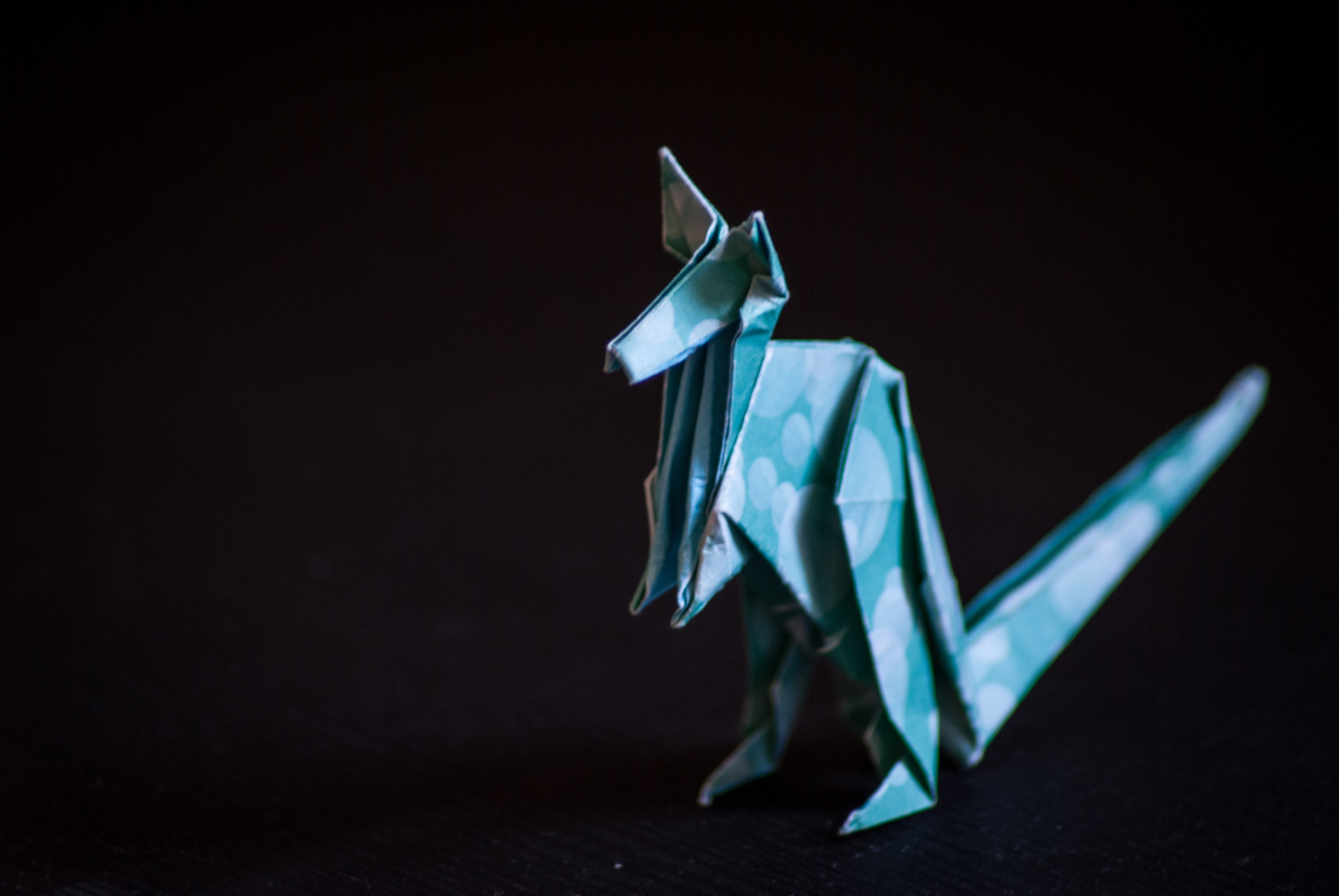 Nikon D3000 sample photo. Origami kangaroo photography