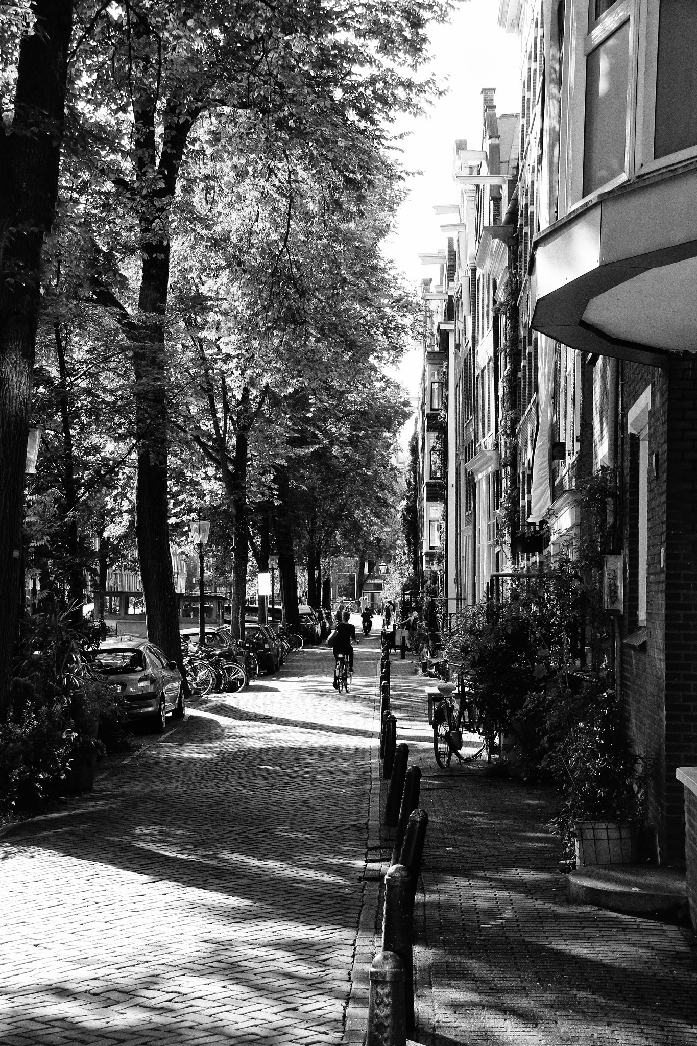 Sigma 18-250mm F3.5-6.3 DC OS HSM sample photo. Amsterdam city centre  photography
