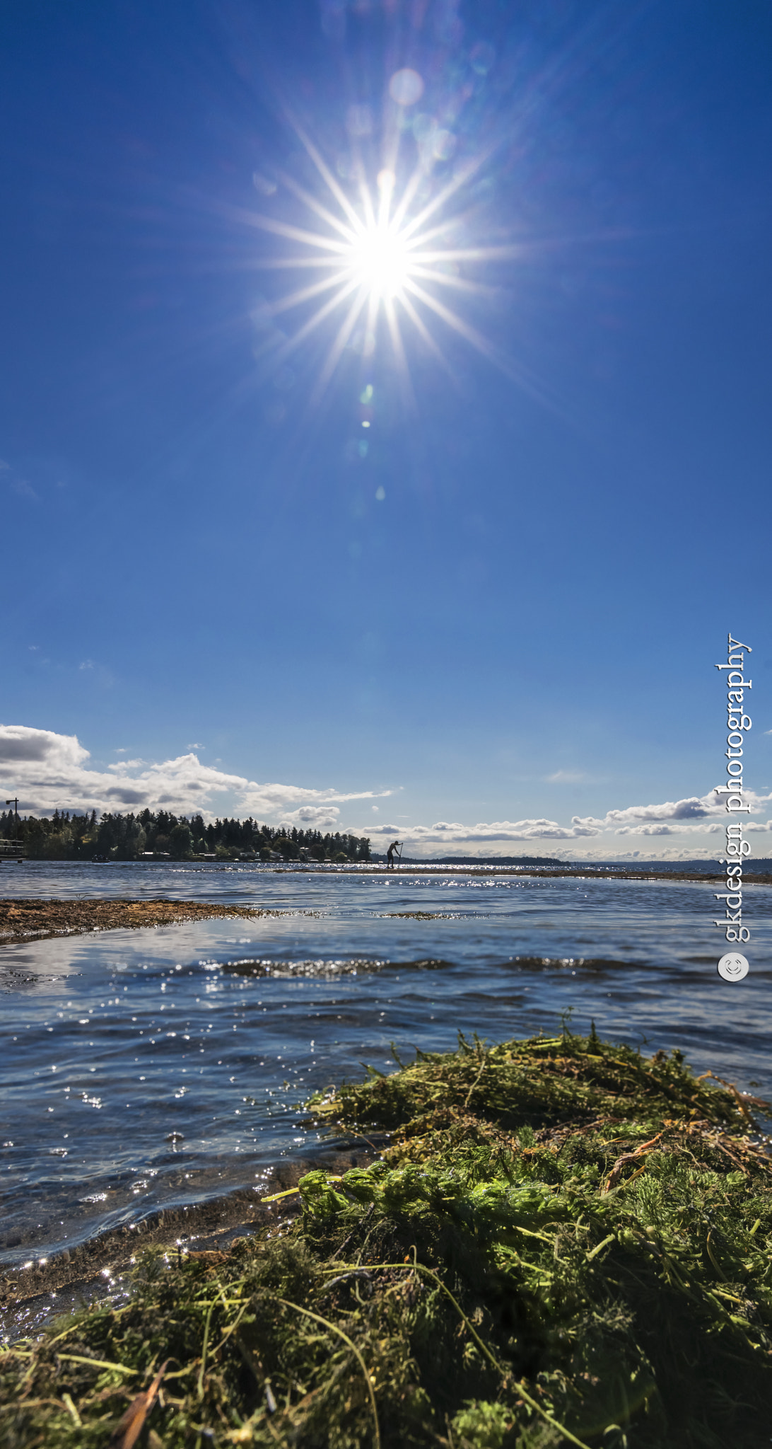 Nikon D610 sample photo. Beach debris and sunshine photography