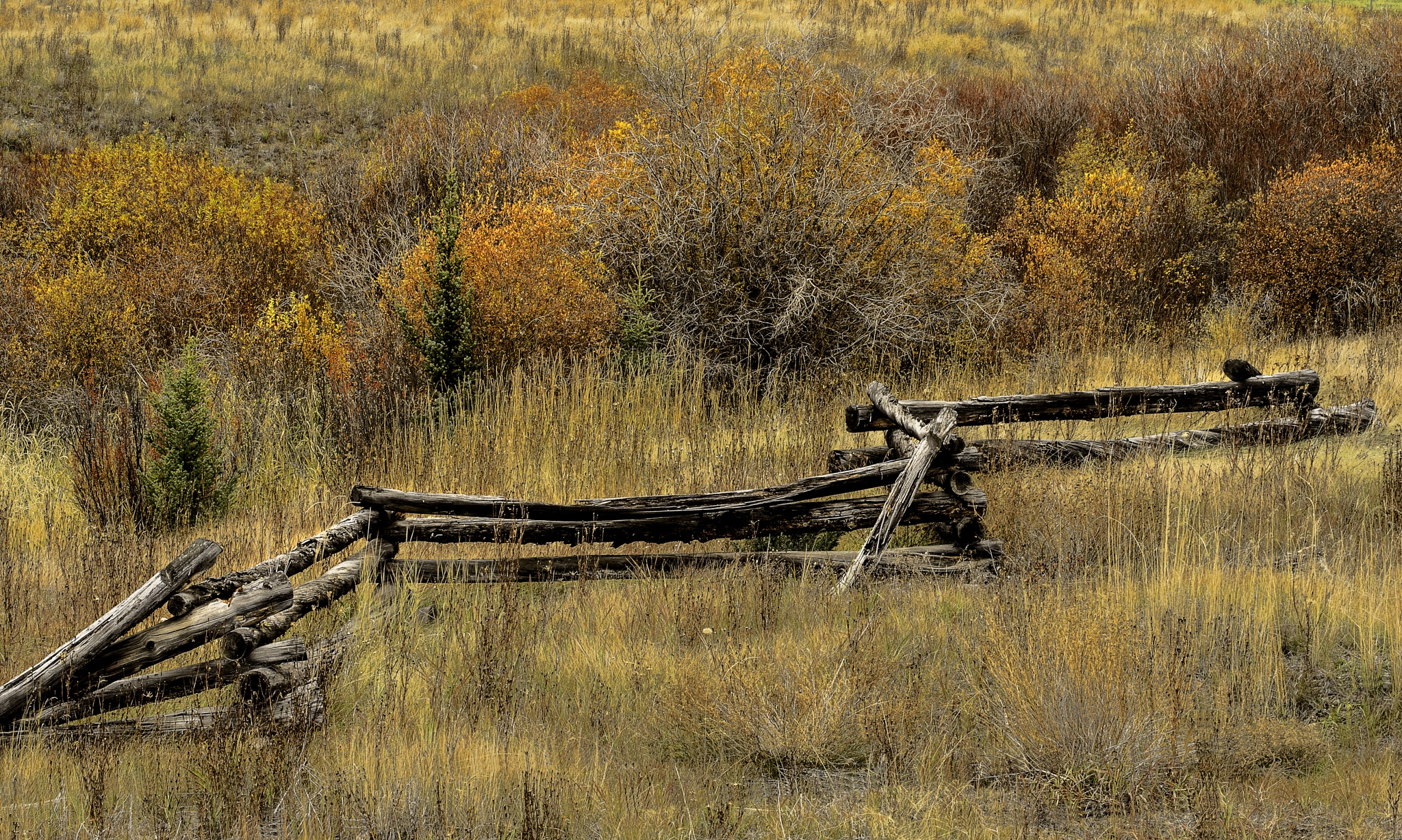 Sony 75-300mm F4.5-5.6 sample photo. Rangeland autumn photography