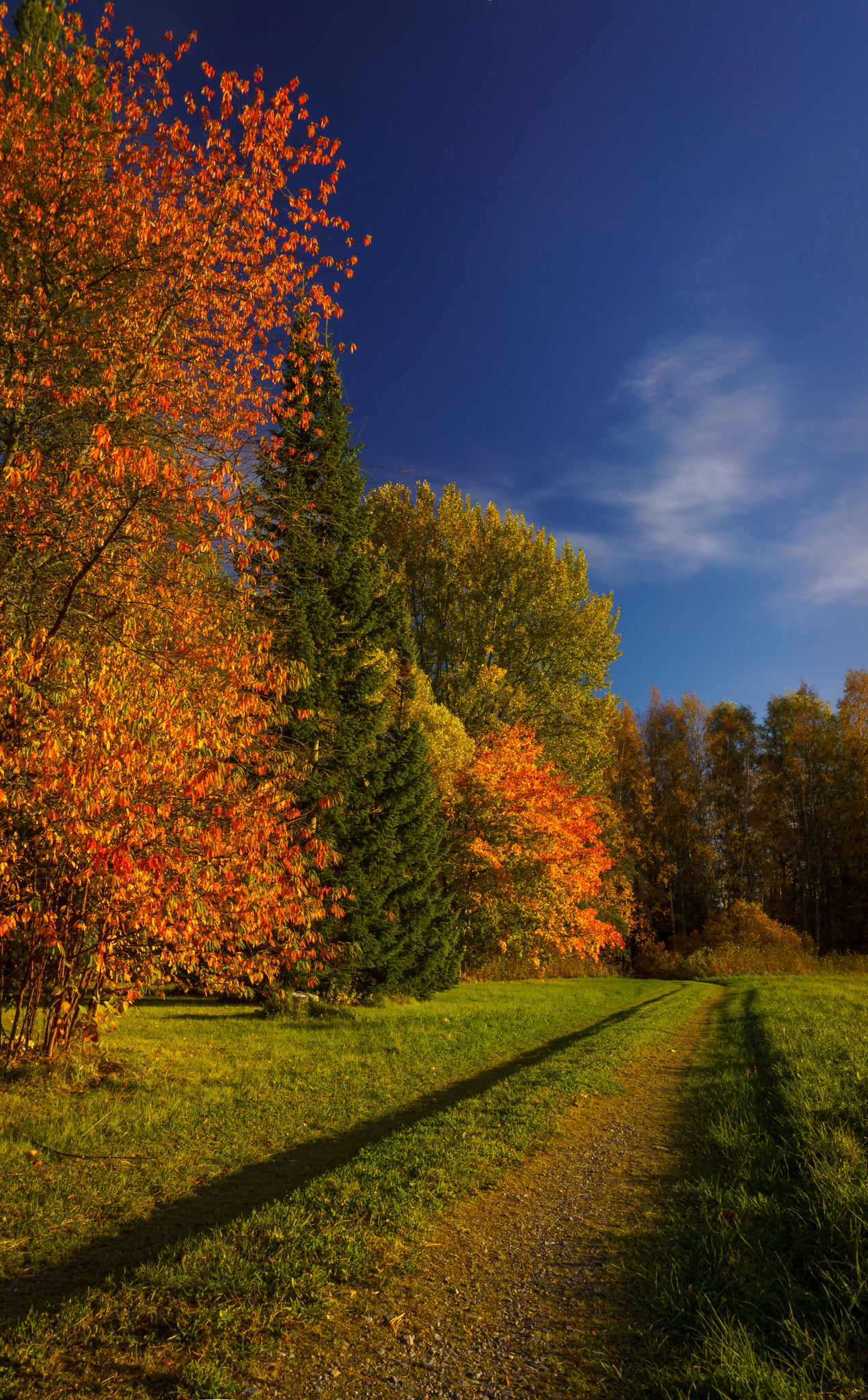 Sony Alpha NEX-7 sample photo. Pano photography