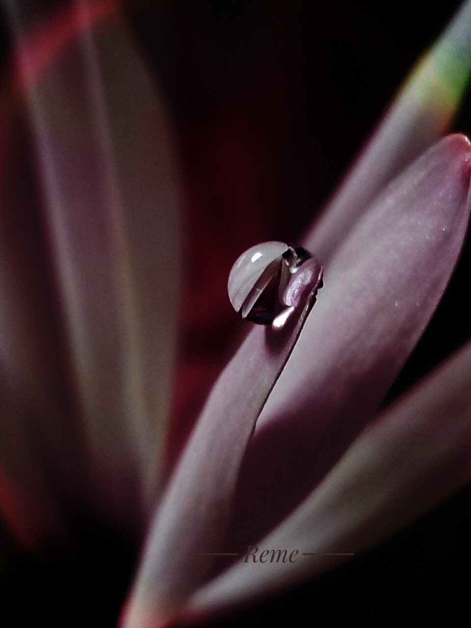 bq Aquaris E5 HD sample photo. Agua photography