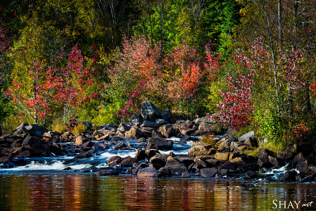 Sony a7R II sample photo. Colorfall photography