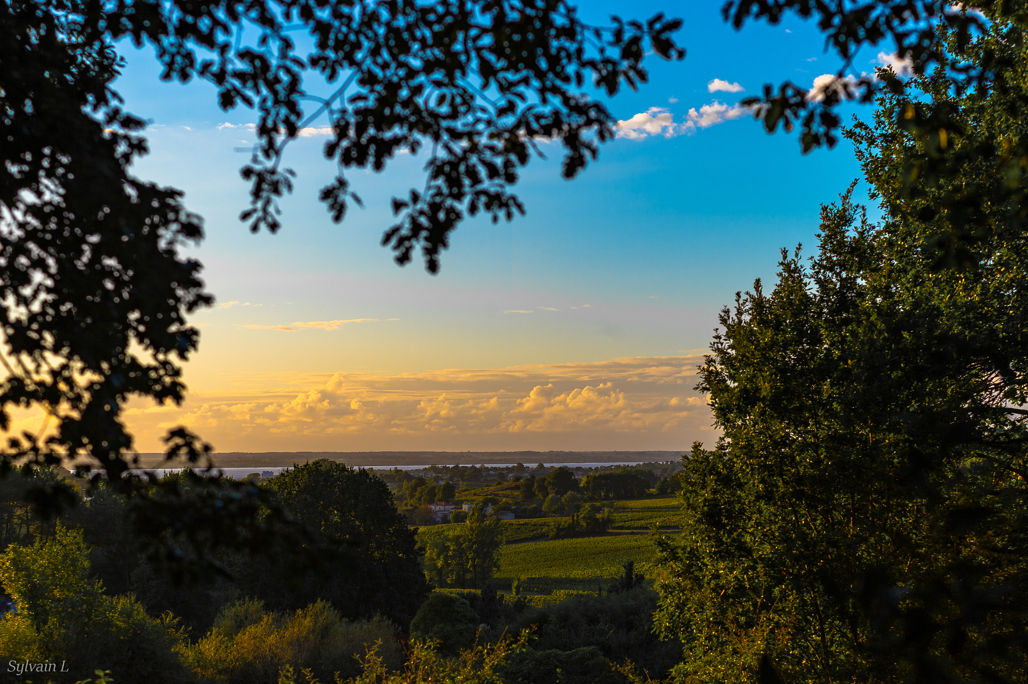 Nikon D4 sample photo. Landscape painting photography