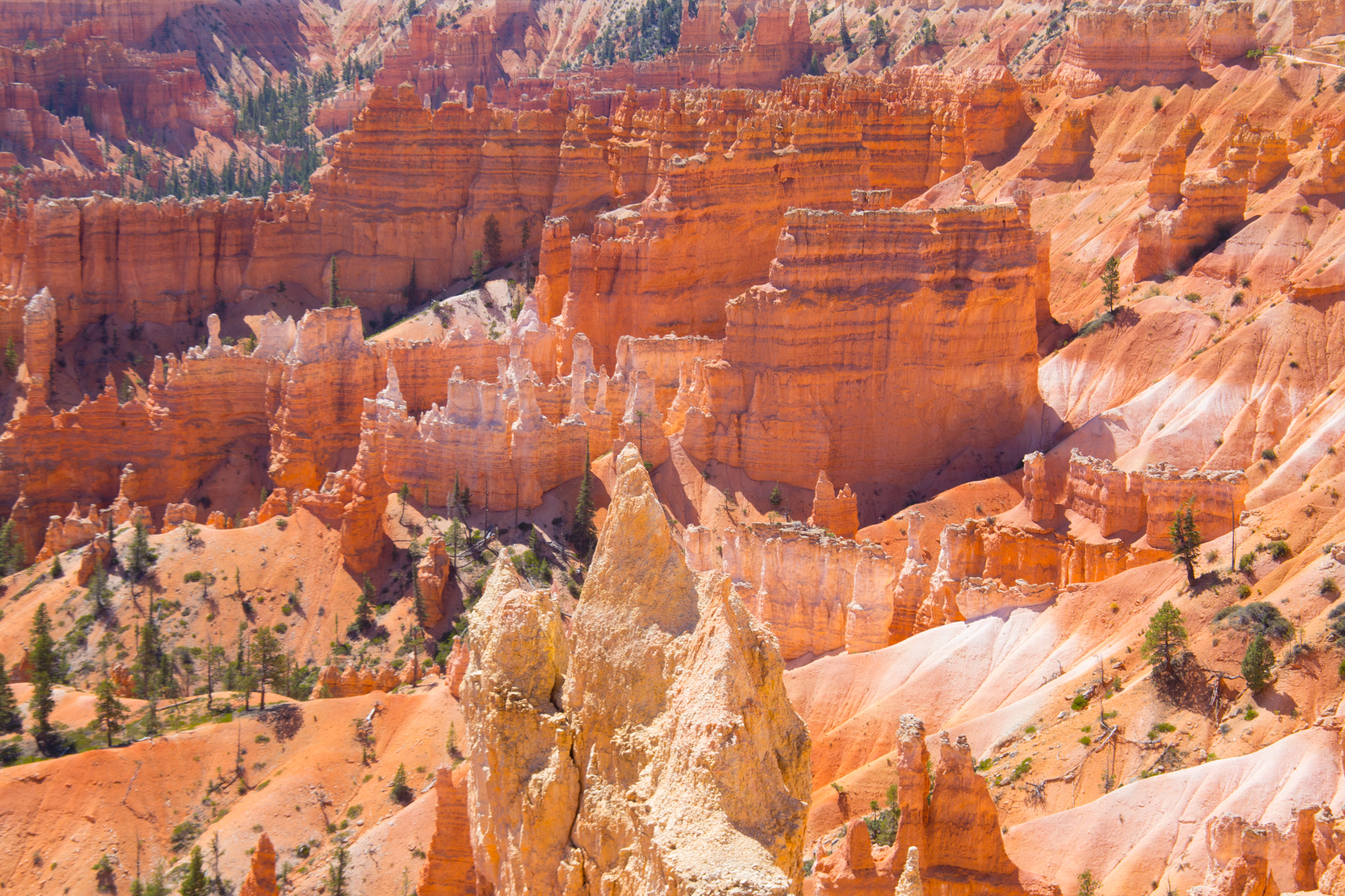 Canon EOS 6D + Tamron AF 28-300mm F3.5-6.3 XR Di VC LD Aspherical (IF) Macro sample photo. Bryce canyon photography