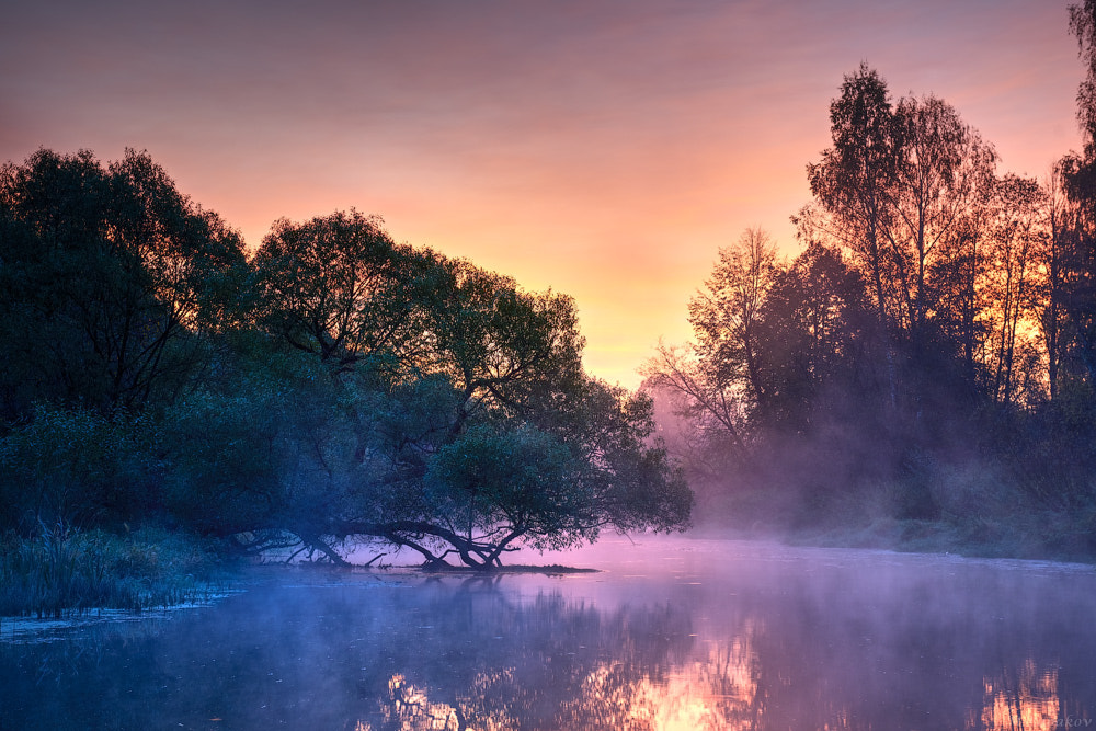 Nikon AF-S Nikkor 24-70mm F2.8G ED sample photo. Istra river photography