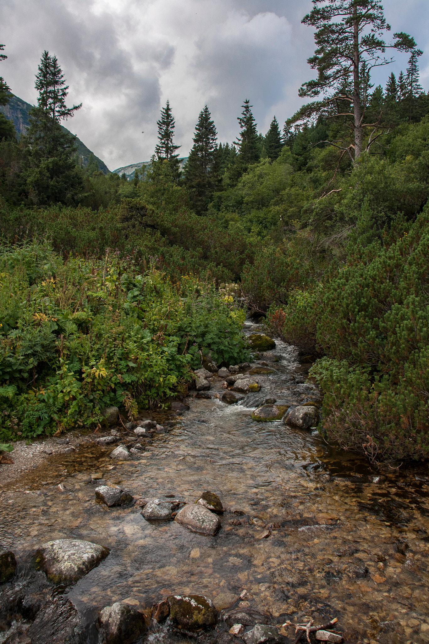 Sigma 18-200mm f/3.5-6.3 DC OS sample photo. River mountain photography