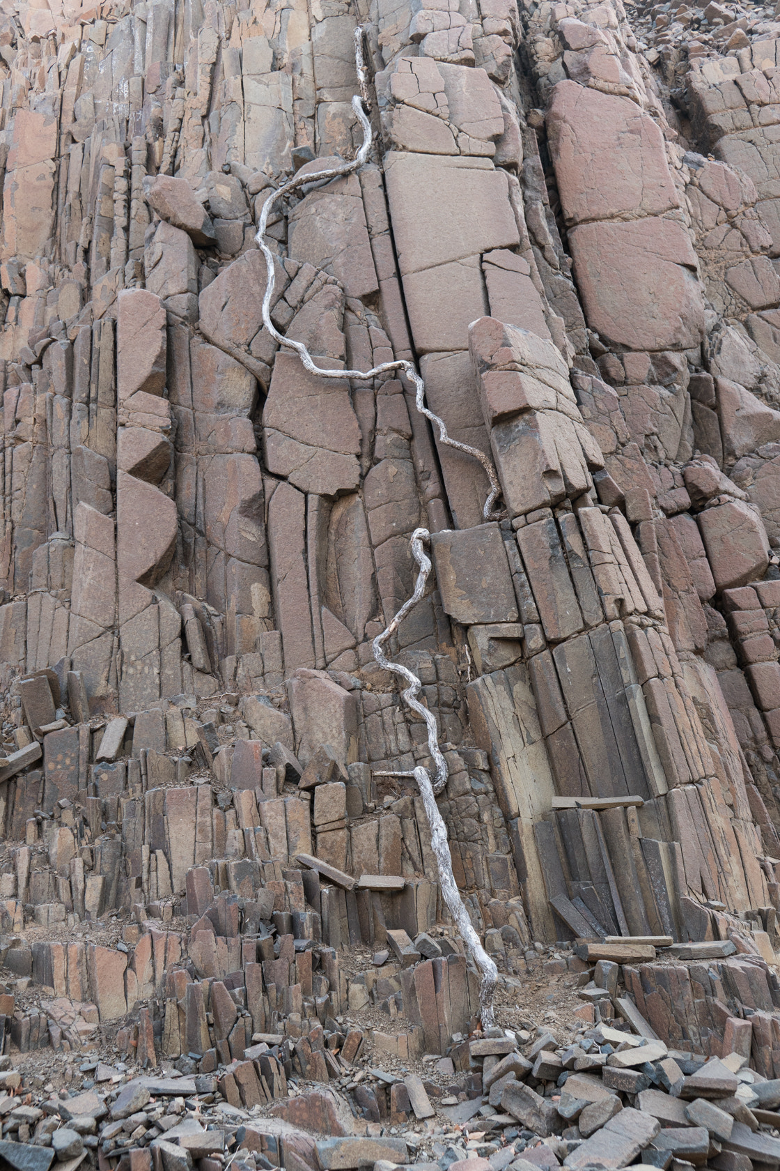 Sony E 18-200mm F3.5-6.3 OSS sample photo. Tree stump and organ pipes, namibia photography