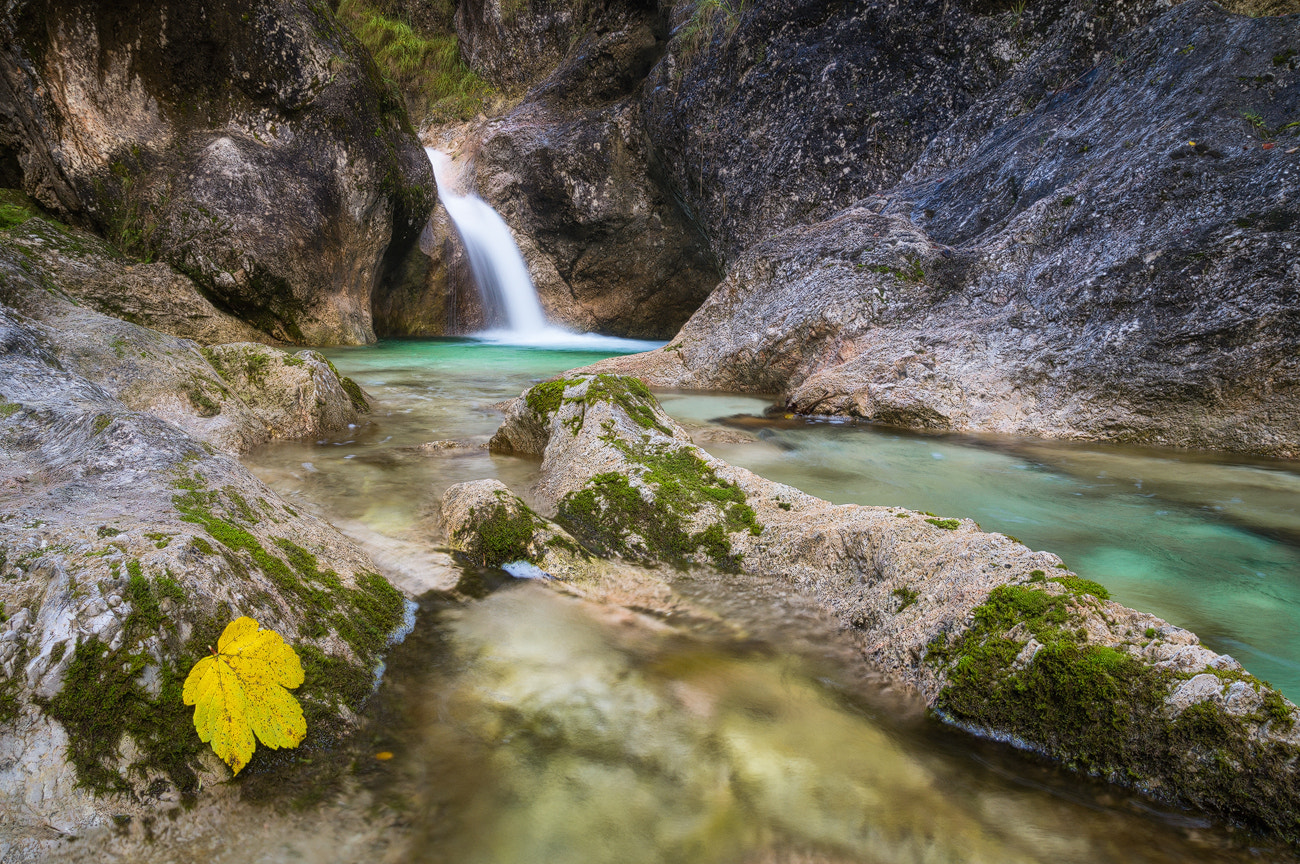 Sony SLT-A57 sample photo. Almbach gorge photography
