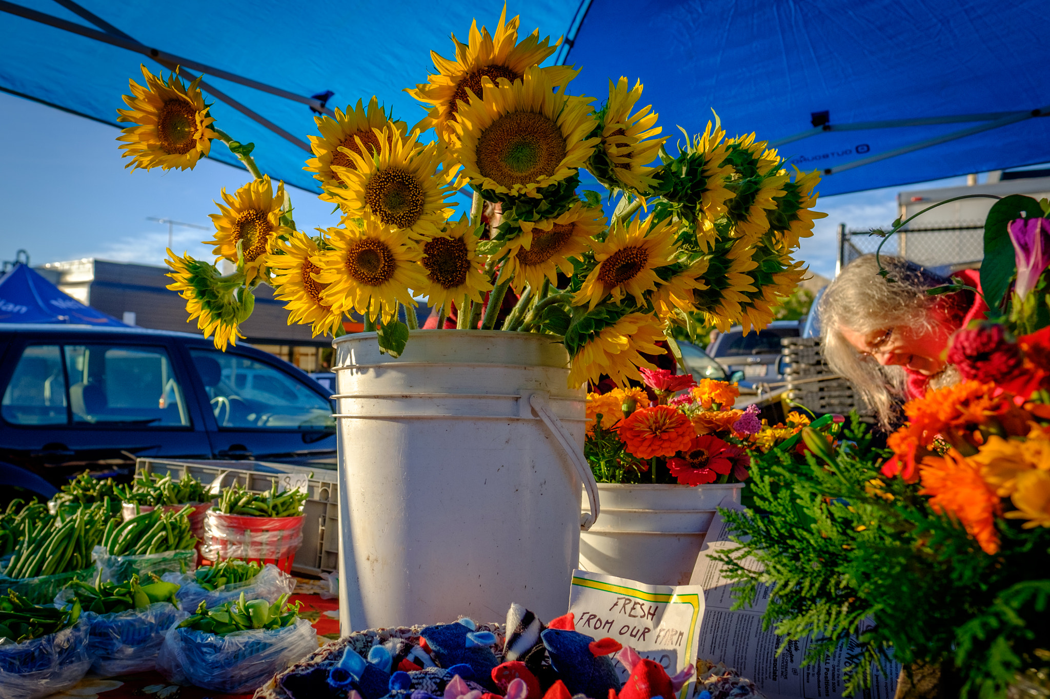 Fujifilm X-T10 + Fujifilm XF 16mm F1.4 R WR sample photo