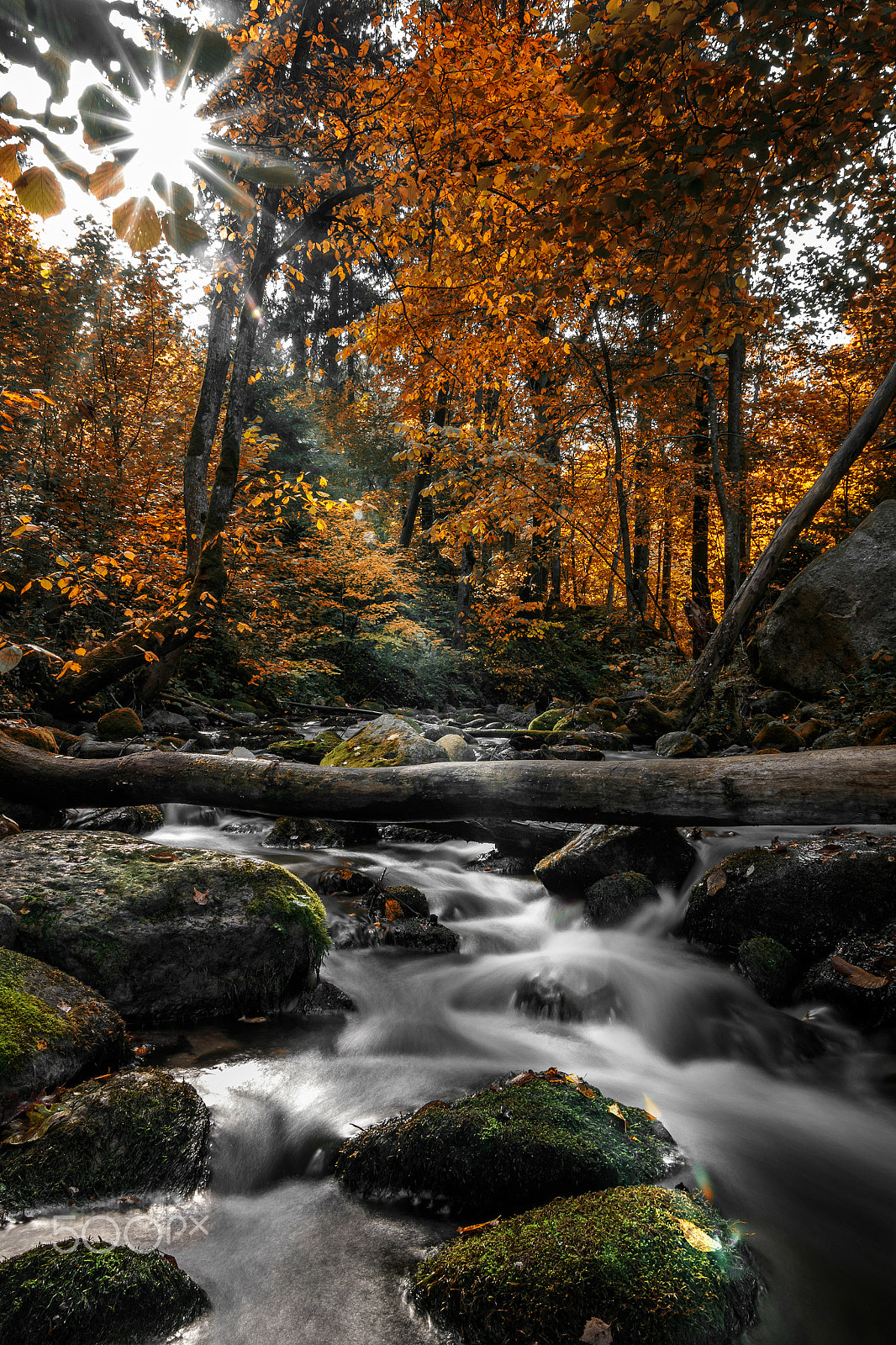 Sigma 18-50mm f/2.8 Macro sample photo. Saidė river photography