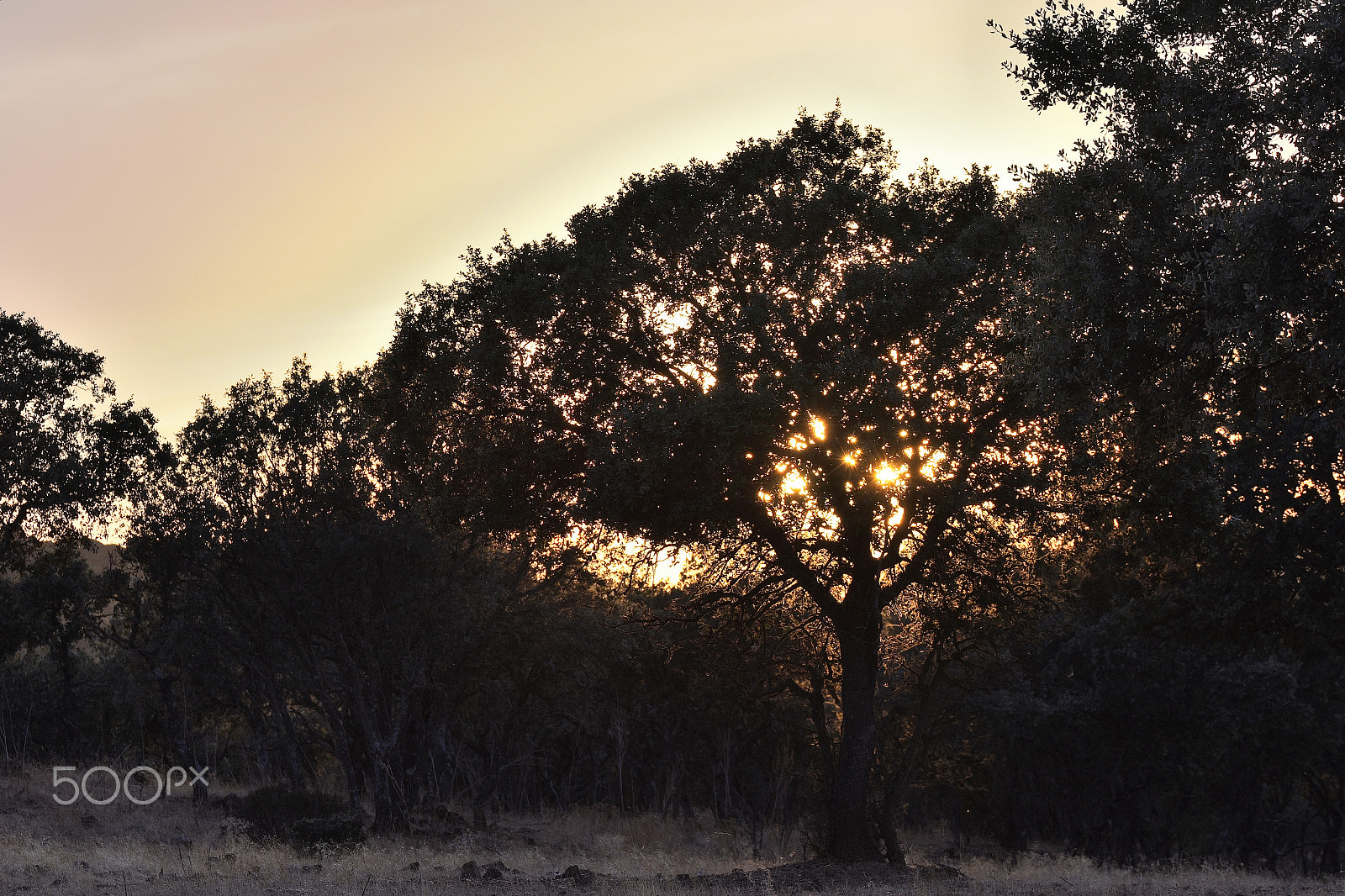 Tamron SP 70-200mm F2.8 Di VC USD sample photo. Sunset cabañeros photography