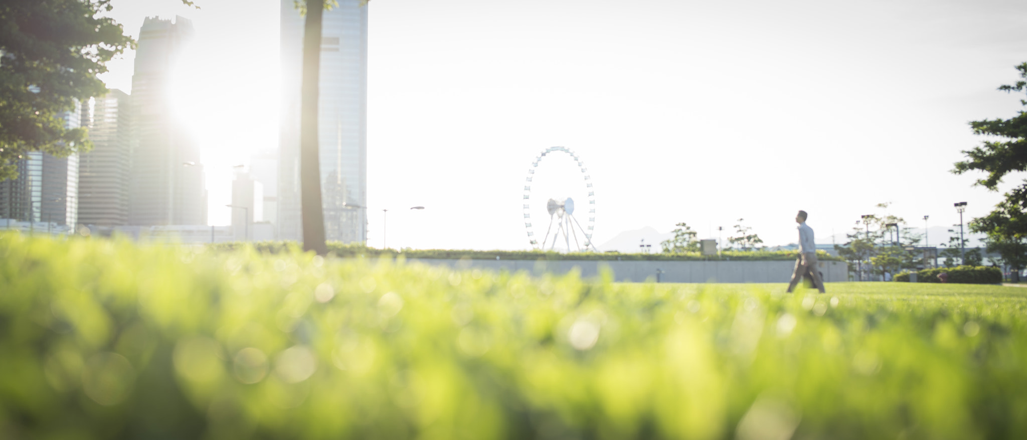 Voigtlander Ultron 40mm f/2 SLII Aspherical sample photo. Moving along place you understand photography