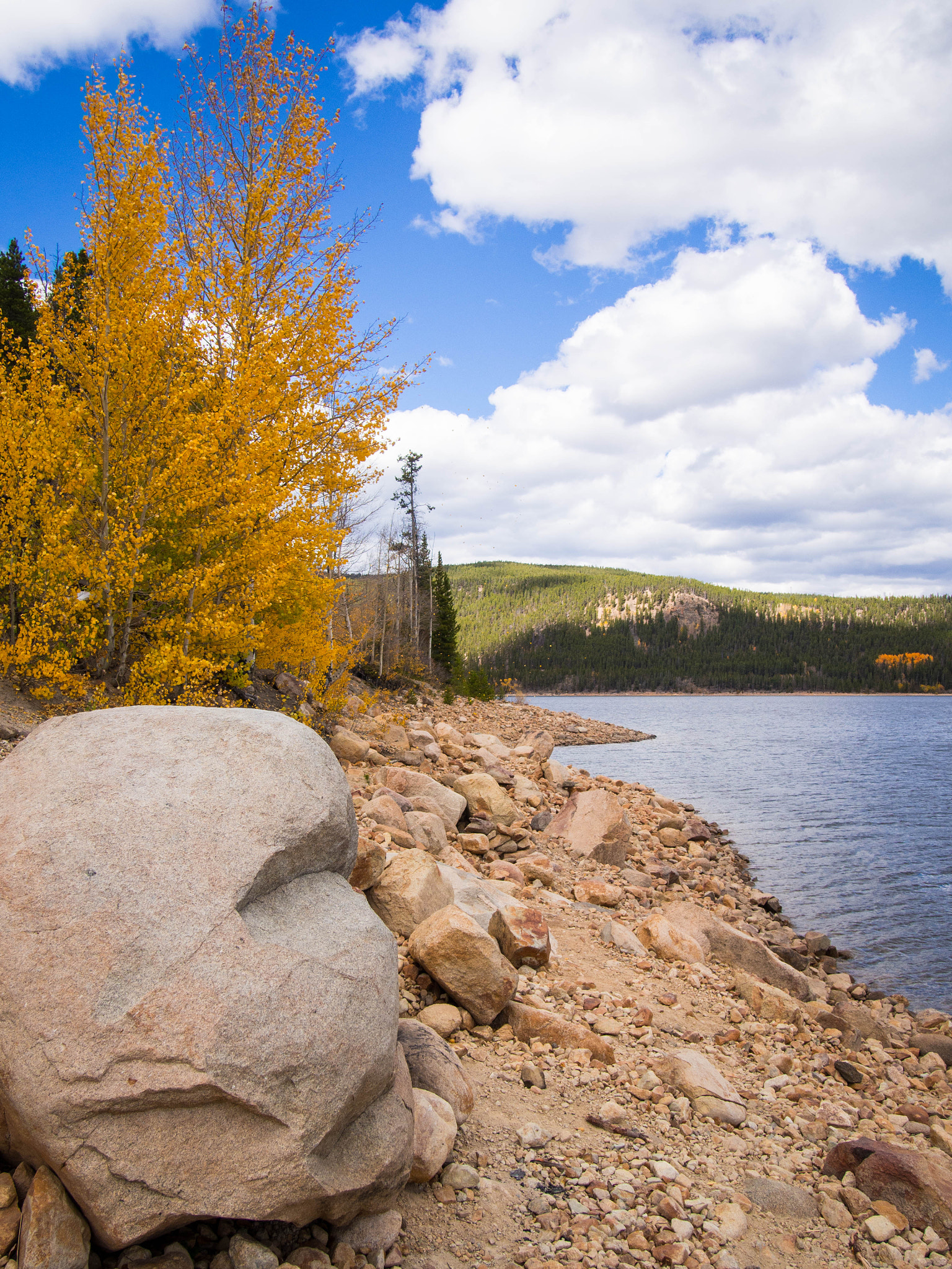 Olympus M.Zuiko Digital 14-42mm F3.5-5.6 II R sample photo. Aspens ashore photography