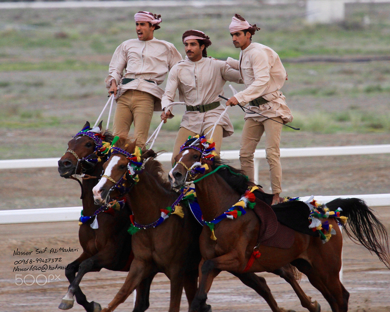 Canon EF 100-400mm F4.5-5.6L IS USM sample photo. Horses in oman photography