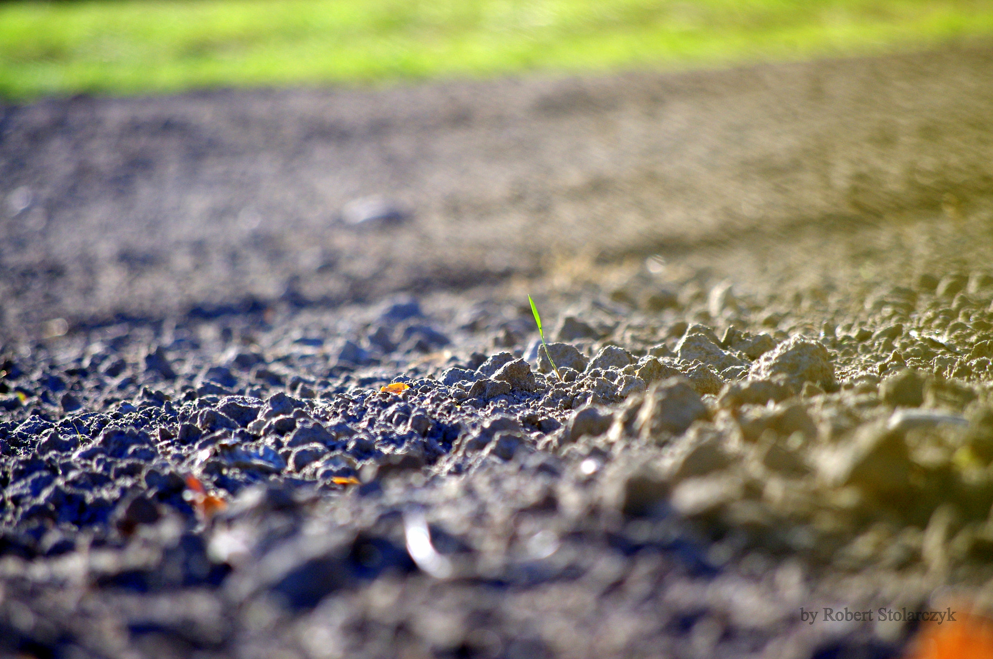 smc PENTAX-DA L 50-200mm F4-5.6 ED sample photo. Singularis photography