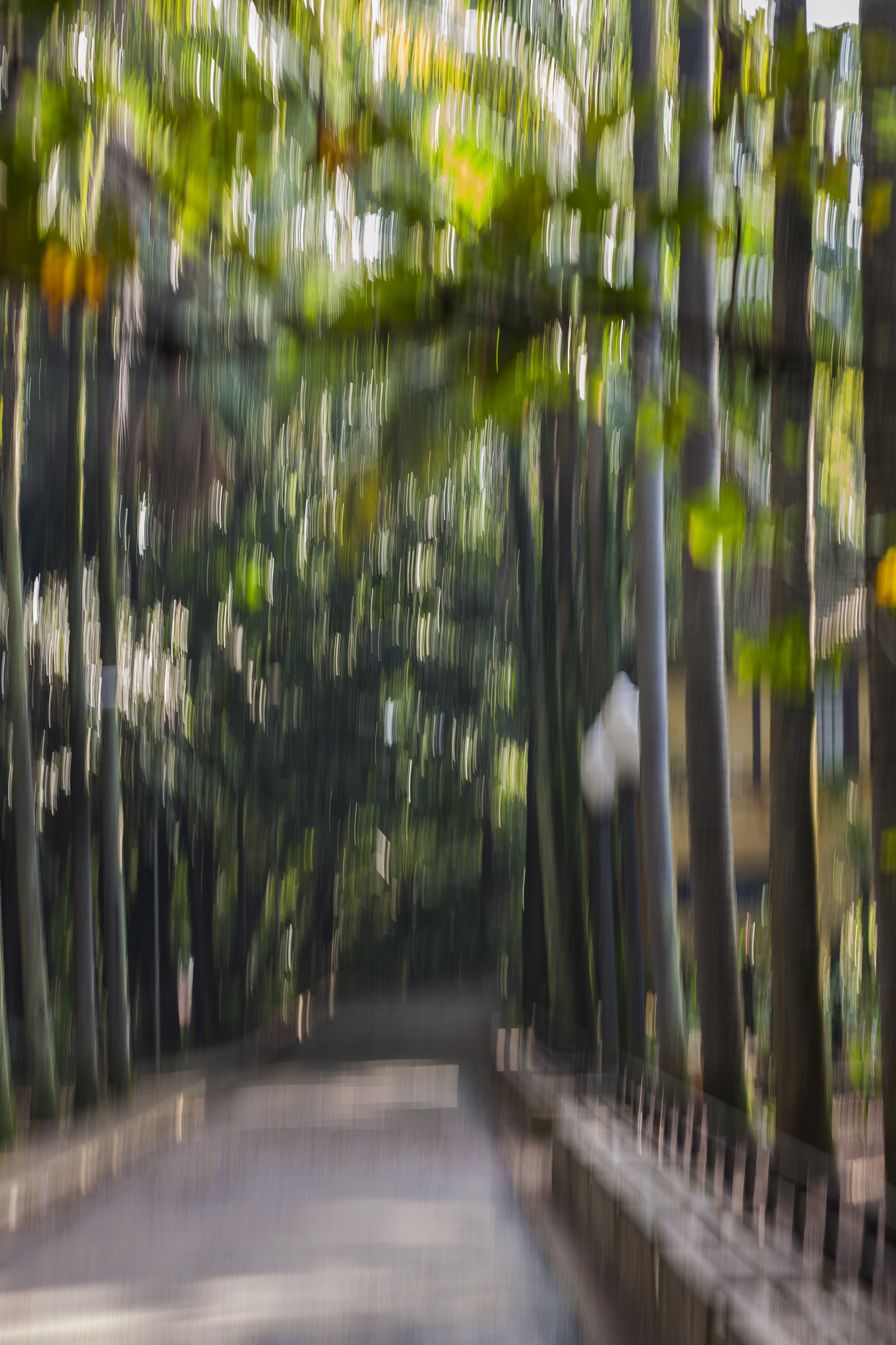 Canon EOS 1000D (EOS Digital Rebel XS / EOS Kiss F) sample photo. Green corridor photography