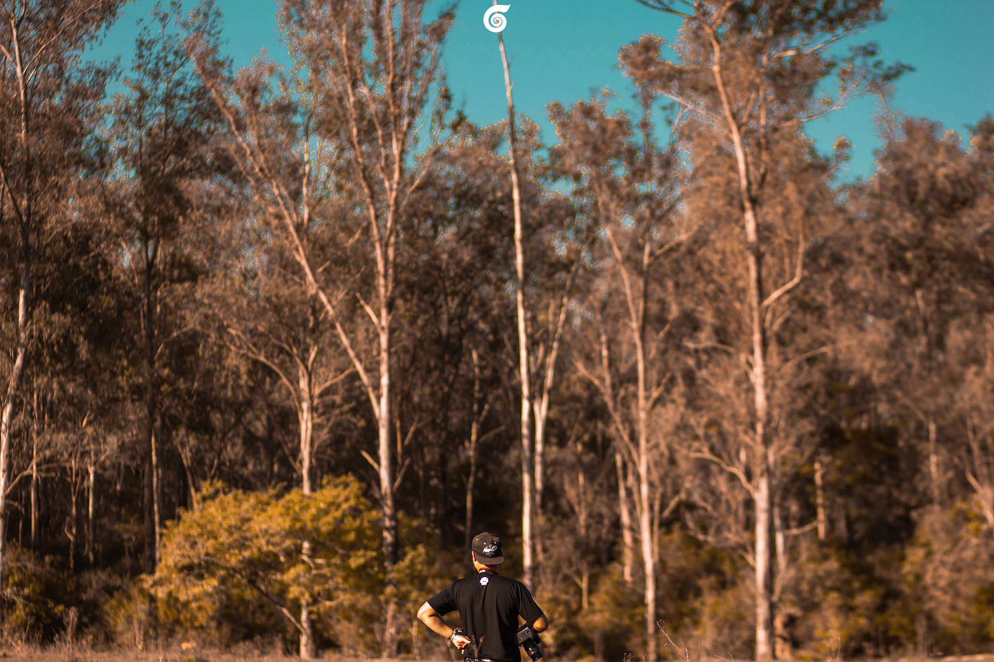 Canon EF 85mm F1.8 USM sample photo. Jungle cyan photography