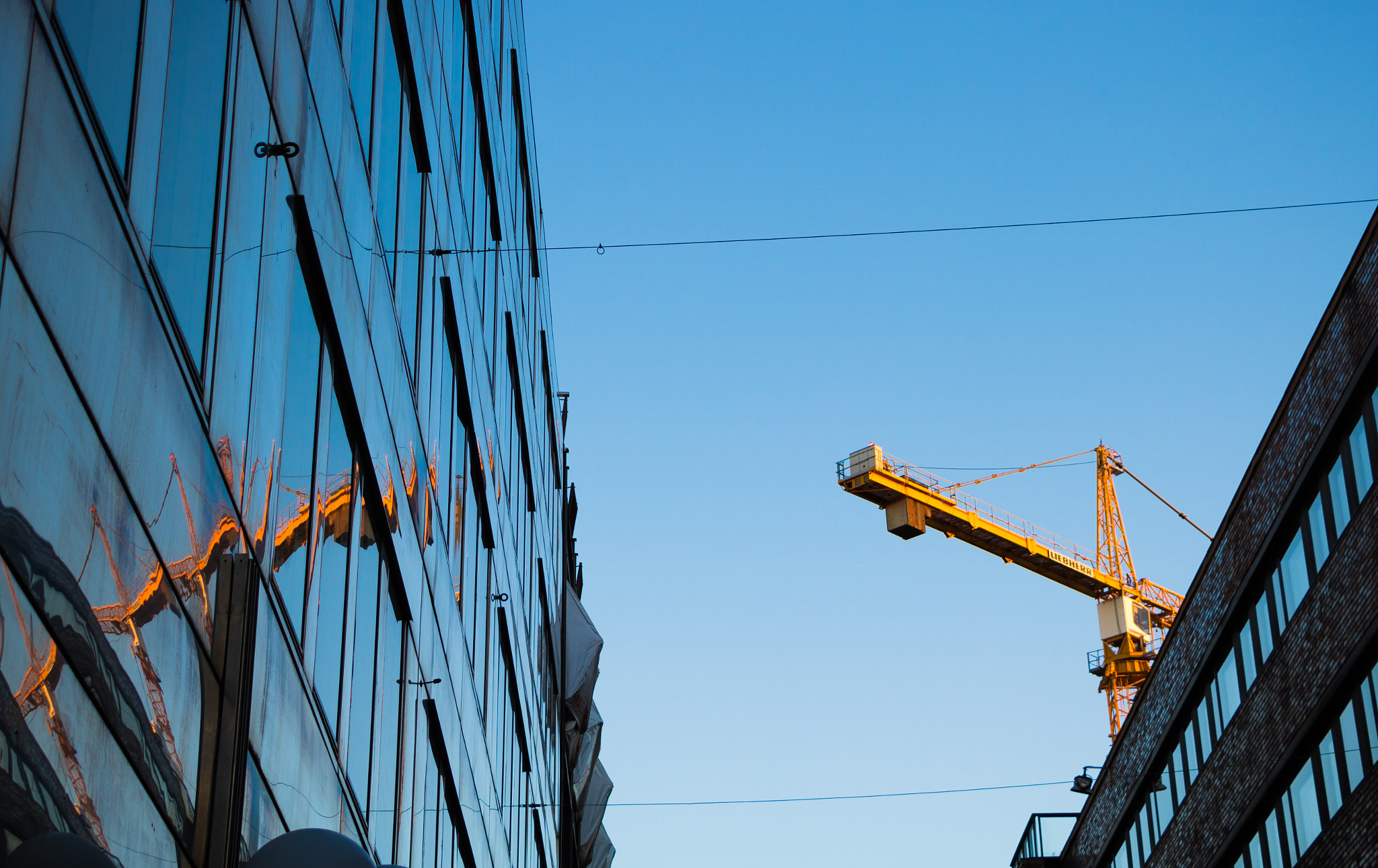 Canon EOS 760D (EOS Rebel T6s / EOS 8000D) sample photo. Double crane-bow photography