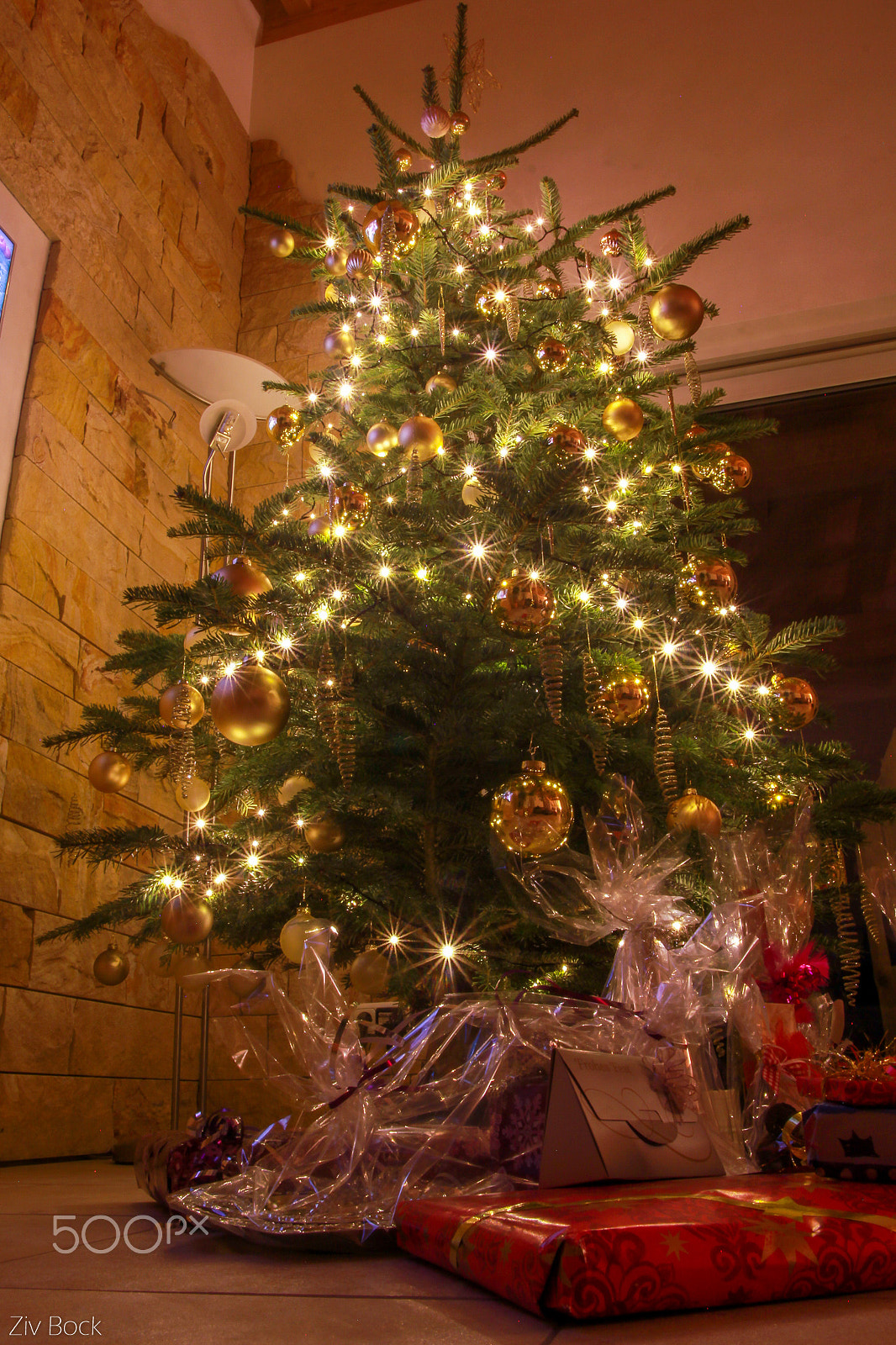 Sigma 17-70mm F2.8-4 DC Macro OS HSM sample photo. Christmass tree photography