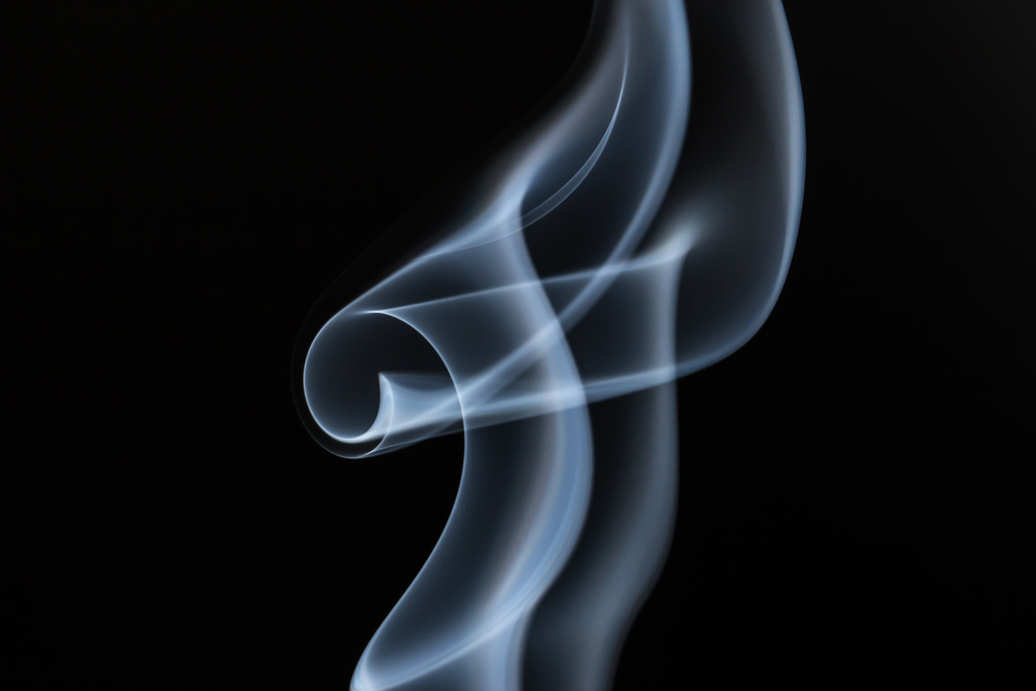 Canon EOS 6D + Canon EF 100mm F2.8L Macro IS USM sample photo. Smoke photography