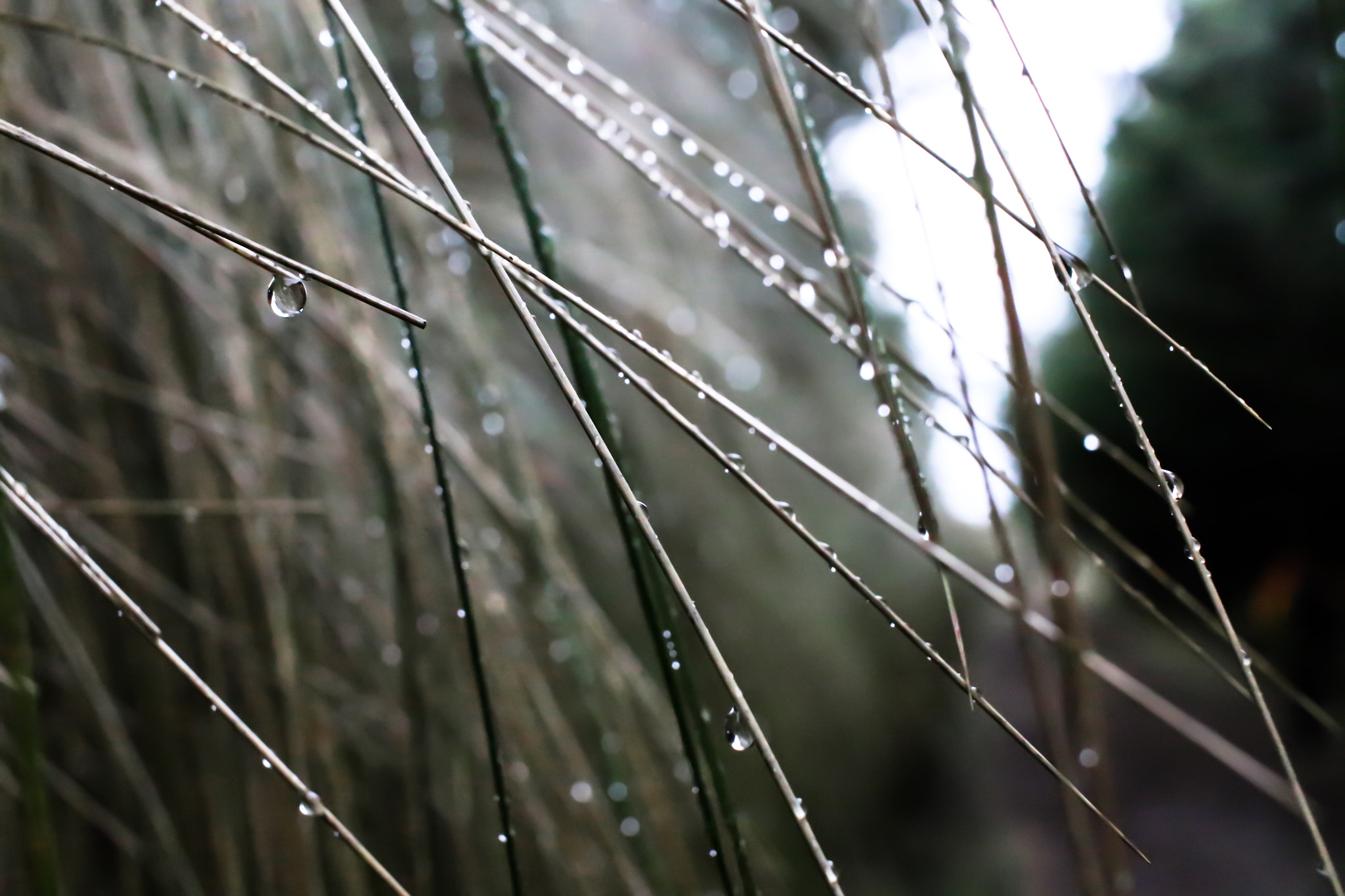Canon EF-S 24mm F2.8 STM sample photo. Ecuador photography