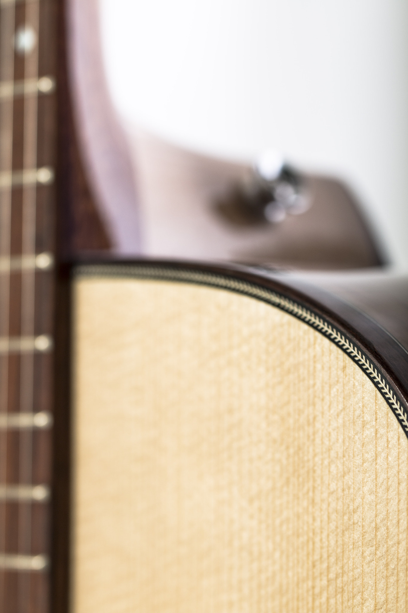 Canon EOS 70D + Canon EF 100mm F2.8L Macro IS USM sample photo. Guitar_product photography