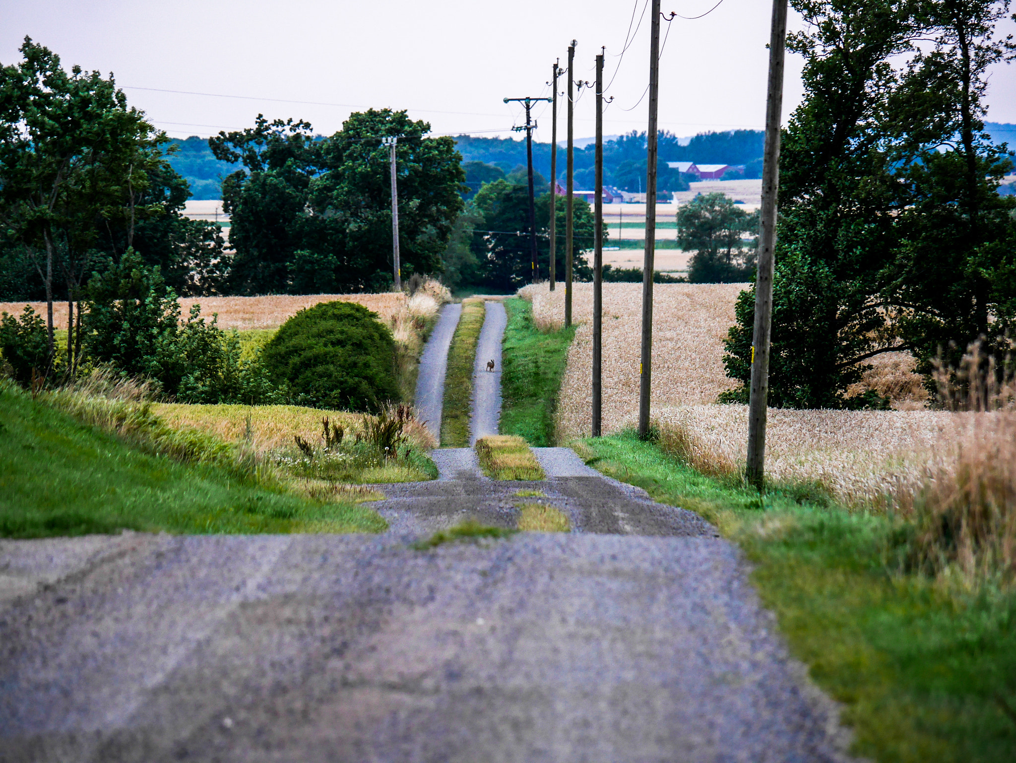 Panasonic Lumix DMC-GM1 sample photo. Tastarpshare photography