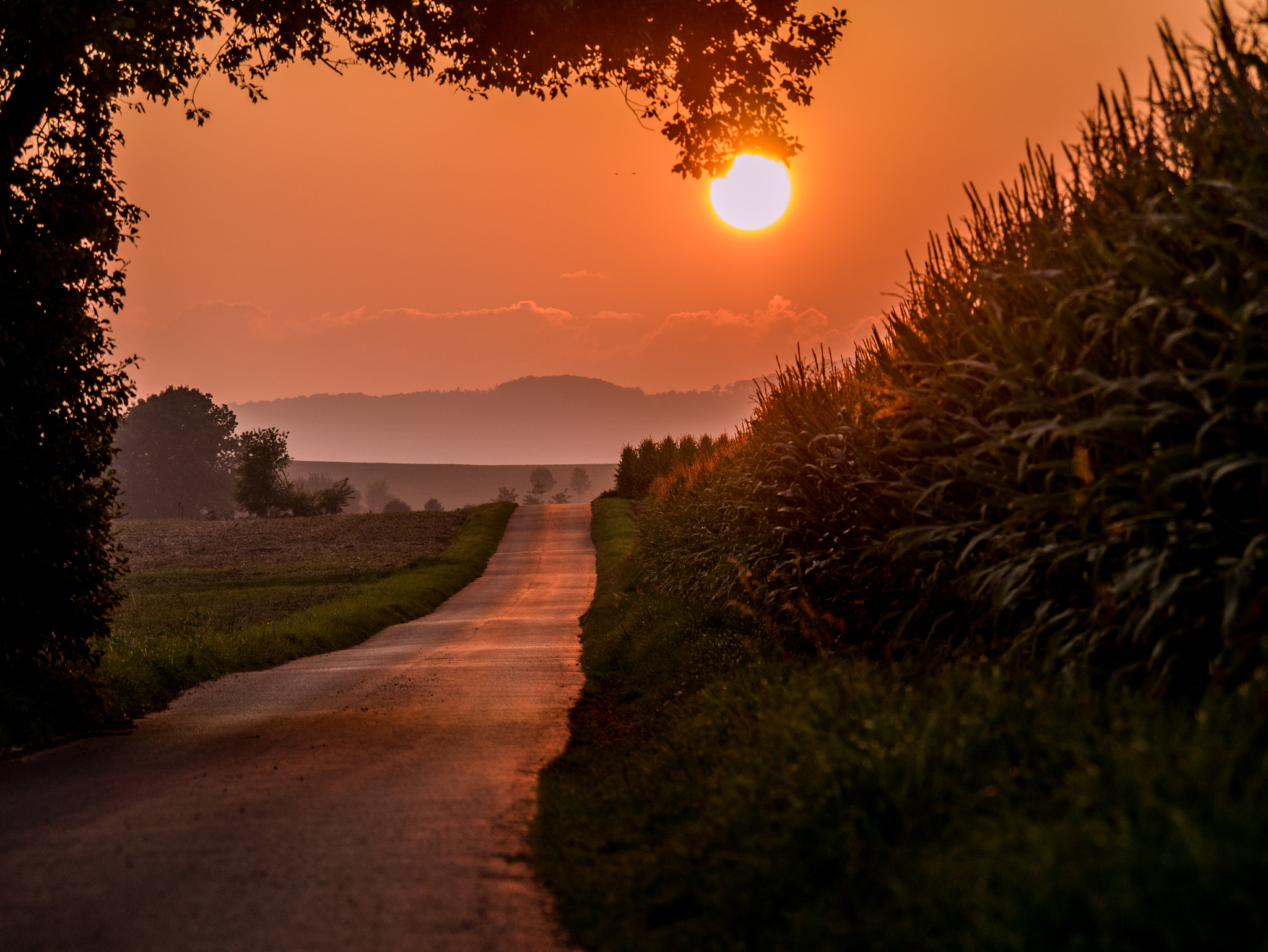 Panasonic Lumix DMC-GM1 sample photo. Sunset photography