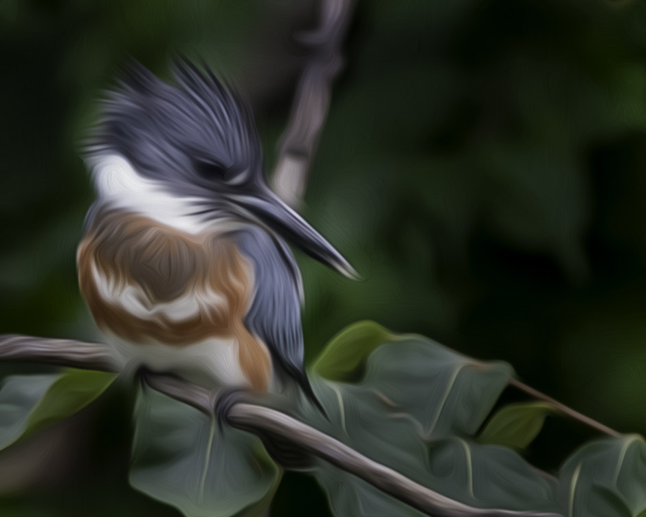 Nikon AF-S Nikkor 300mm F2.8G ED VR II sample photo. Amazon kingfisher! photography