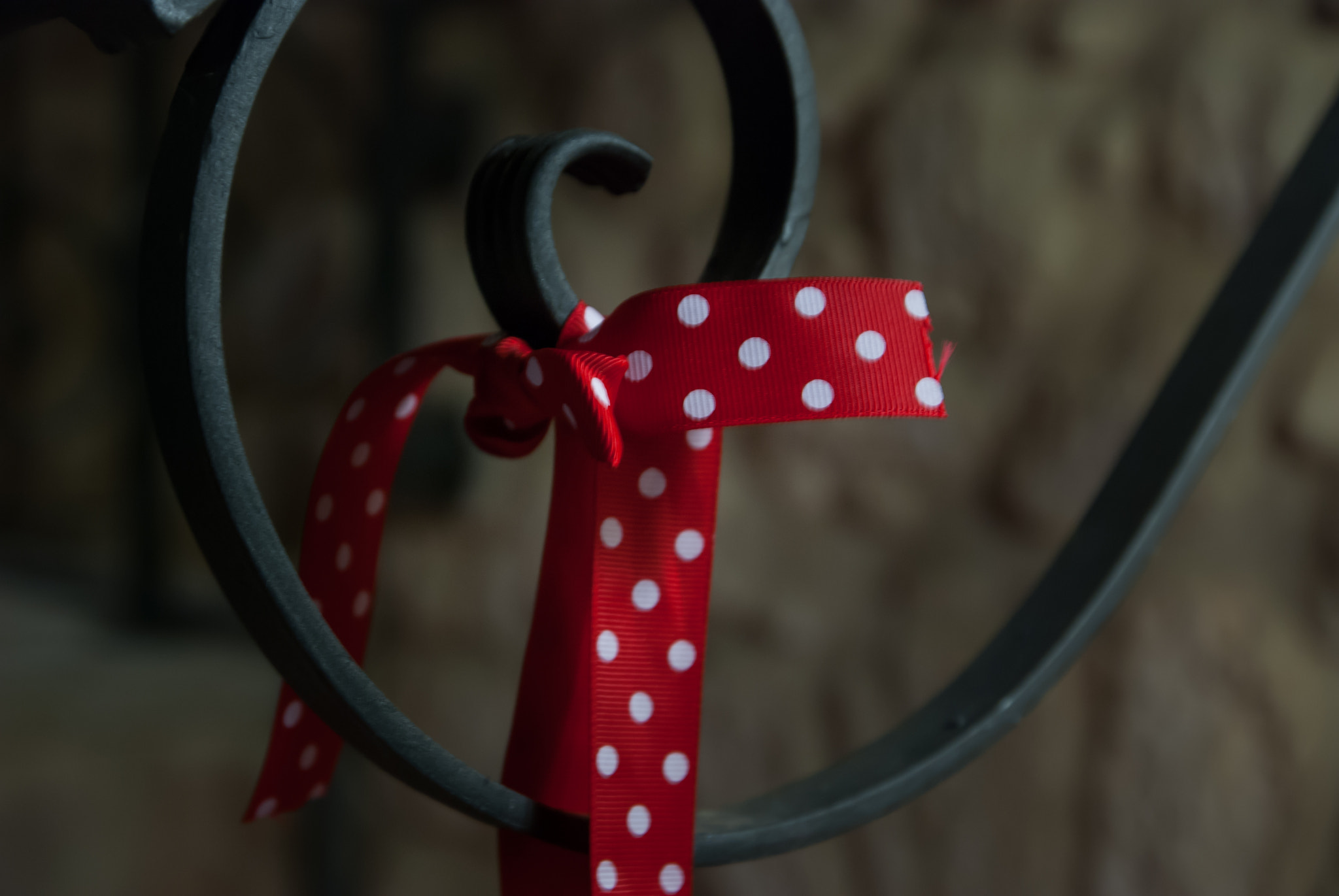 Nikon D80 sample photo. Red bow photography