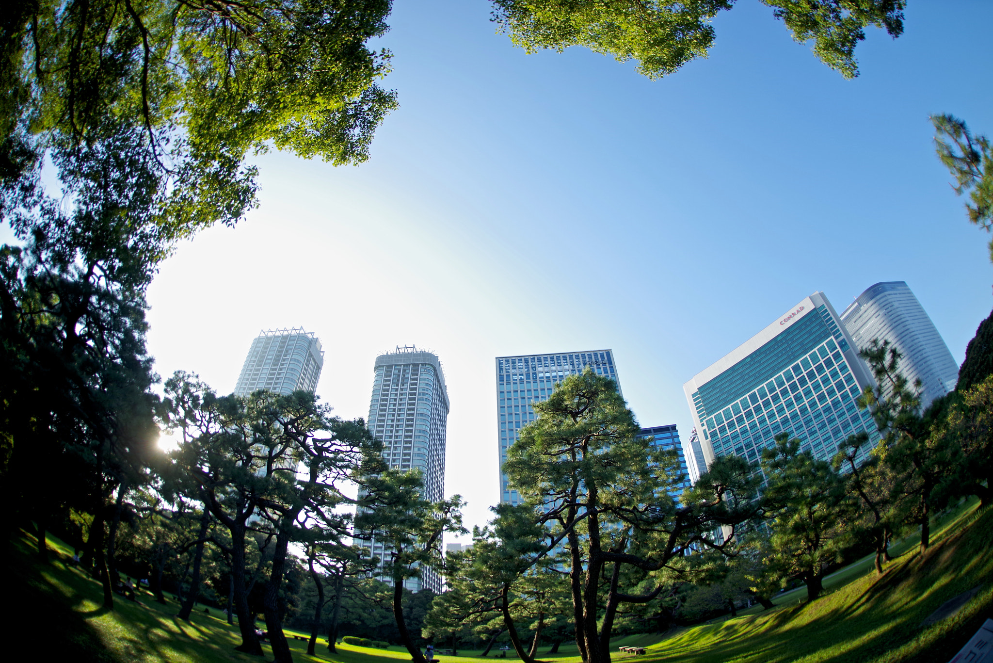 Pentax K-1 sample photo. Urban park photography