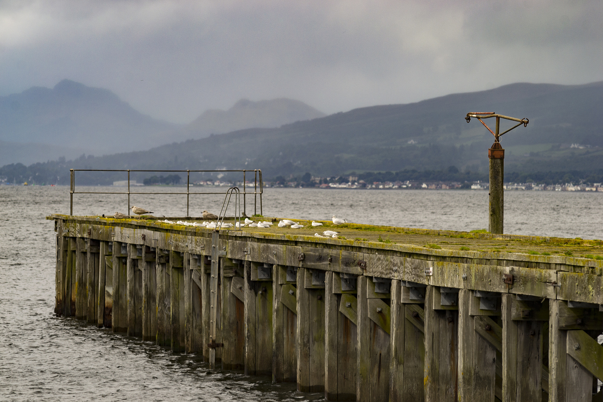 Nikon D3100 sample photo. The gulls pier, shot in port glasgow photography