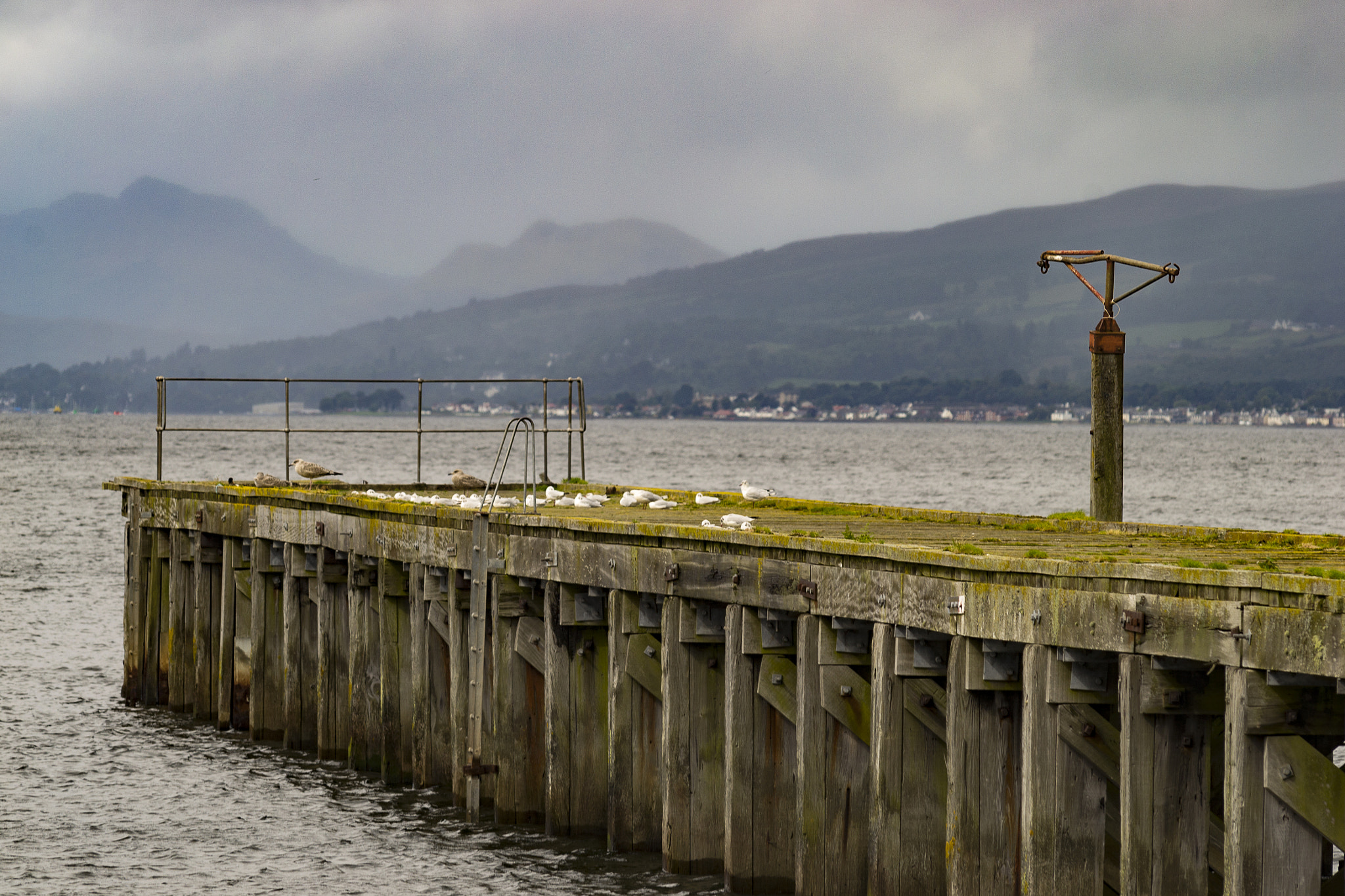 Nikon AF-Nikkor 80-200mm F2.8D ED sample photo. The gulls pier, shot in port glasgow photography