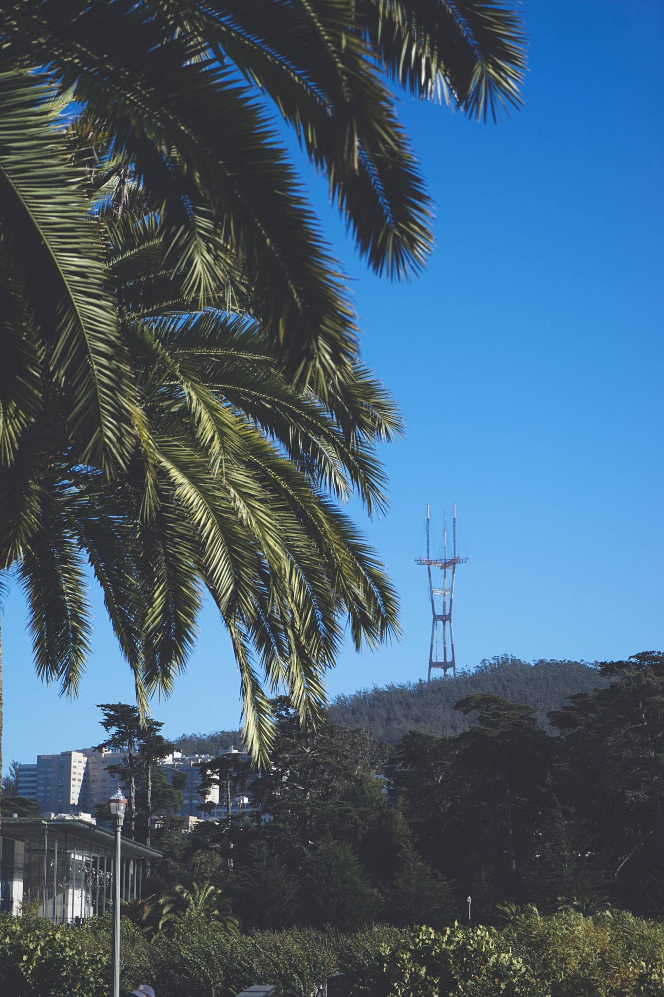 Sony a7 II + Sony Vario Tessar T* FE 24-70mm F4 ZA OSS sample photo. Tower photography