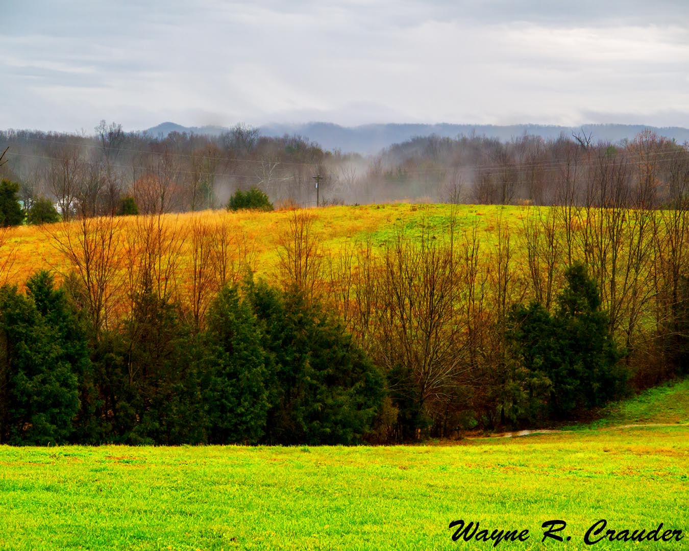 Panasonic Lumix DMC-GF5 sample photo. Misty morn photography