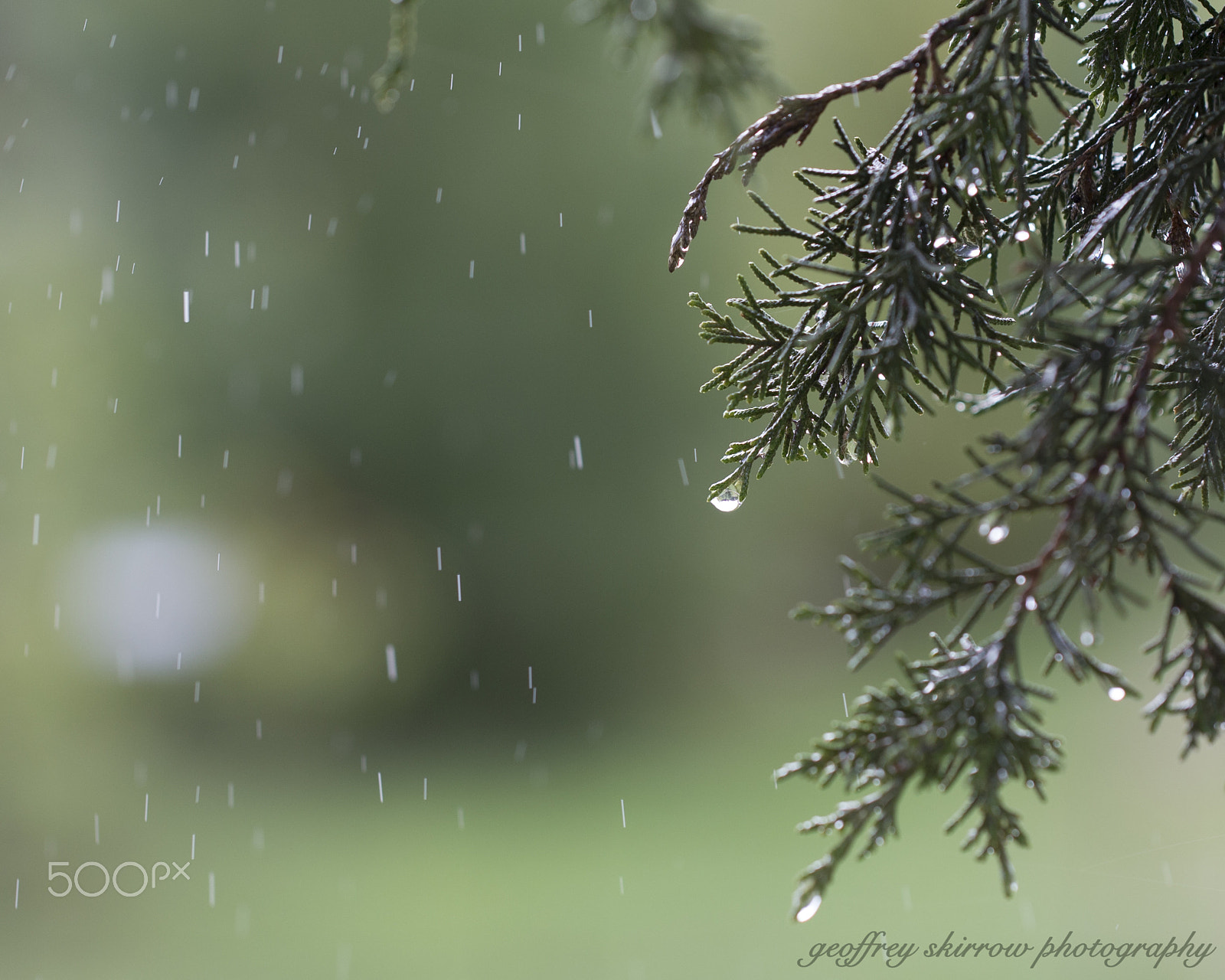 Canon EOS 6D + Canon EF 100mm F2.8L Macro IS USM sample photo. Water droplets photography