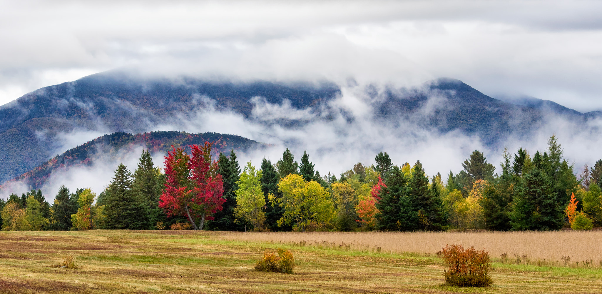 Canon EF-S 55-250mm F4-5.6 IS STM sample photo. Road to adirondack loj photography
