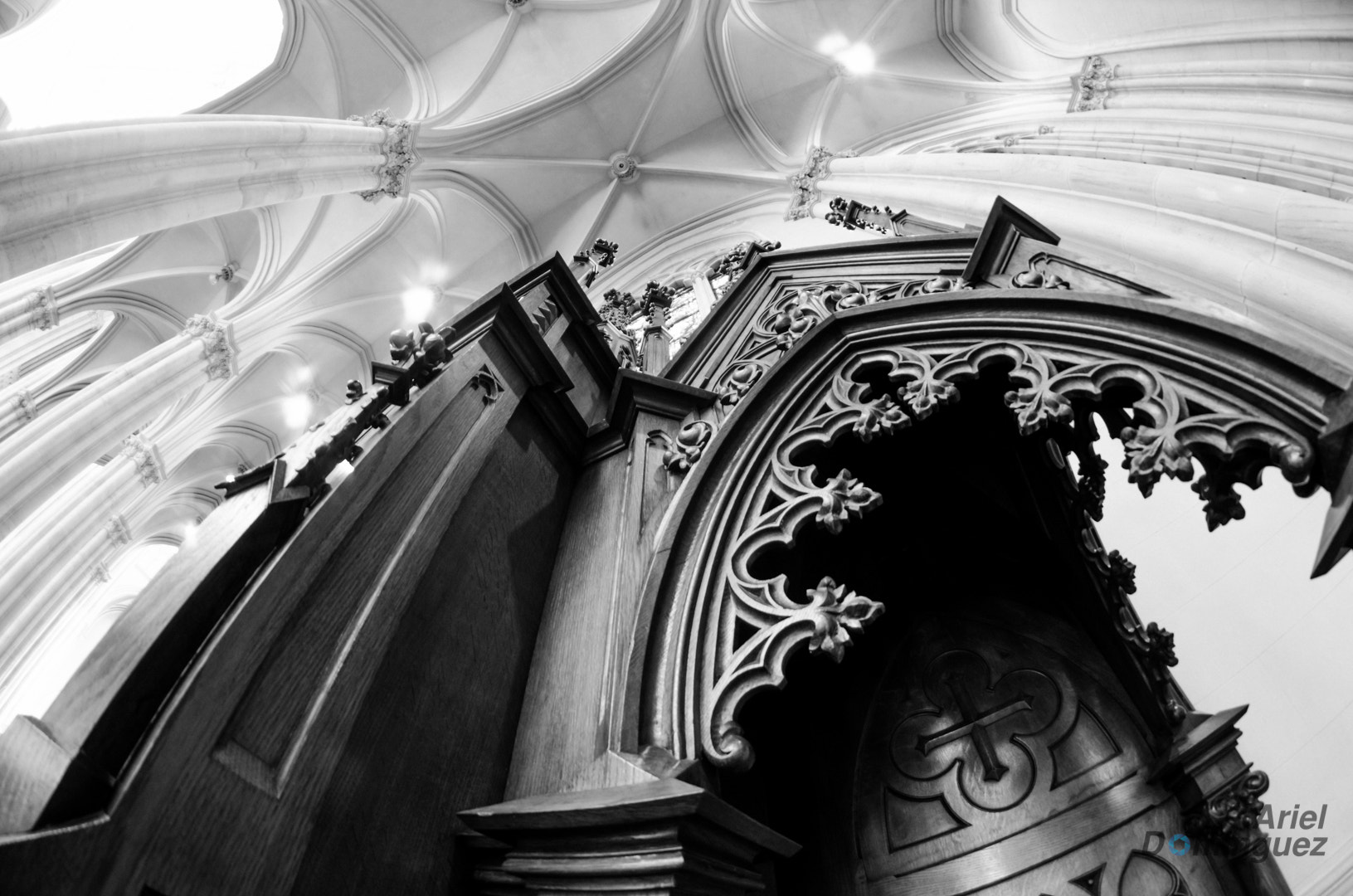 Nikon D5100 + Samyang 8mm F3.5 Aspherical IF MC Fisheye sample photo. Catedral de la plata, buenos aires, argentina photography
