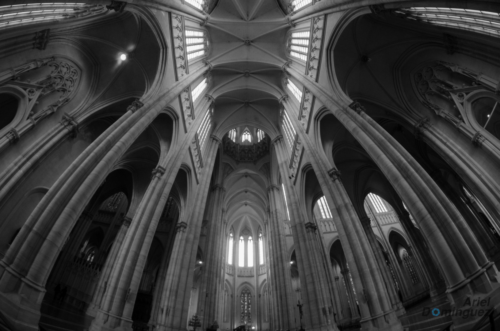 Nikon D5100 + Samyang 8mm F3.5 Aspherical IF MC Fisheye sample photo. Catedral de la plata, buenos aires, argentina photography