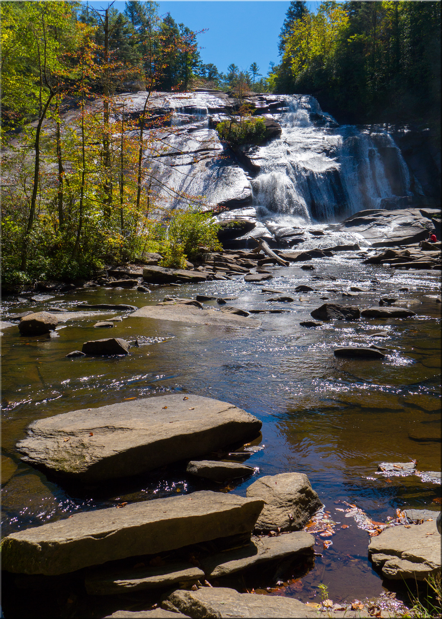 Panasonic Lumix DMC-GH3 sample photo. Beauty abounds at dupont state recreational area -north carolina, usa photography