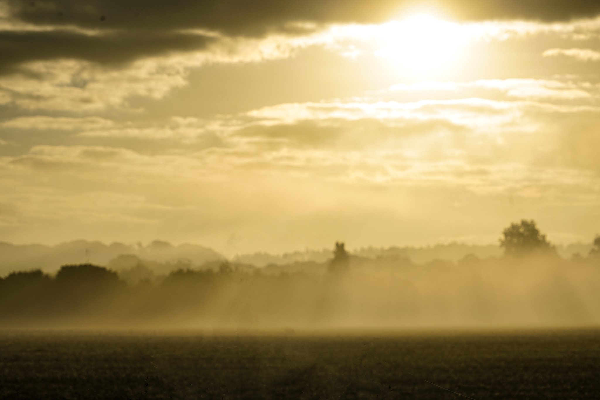 Sony a7R II sample photo. Morning sun over autumn mists over cambridgeshire photography