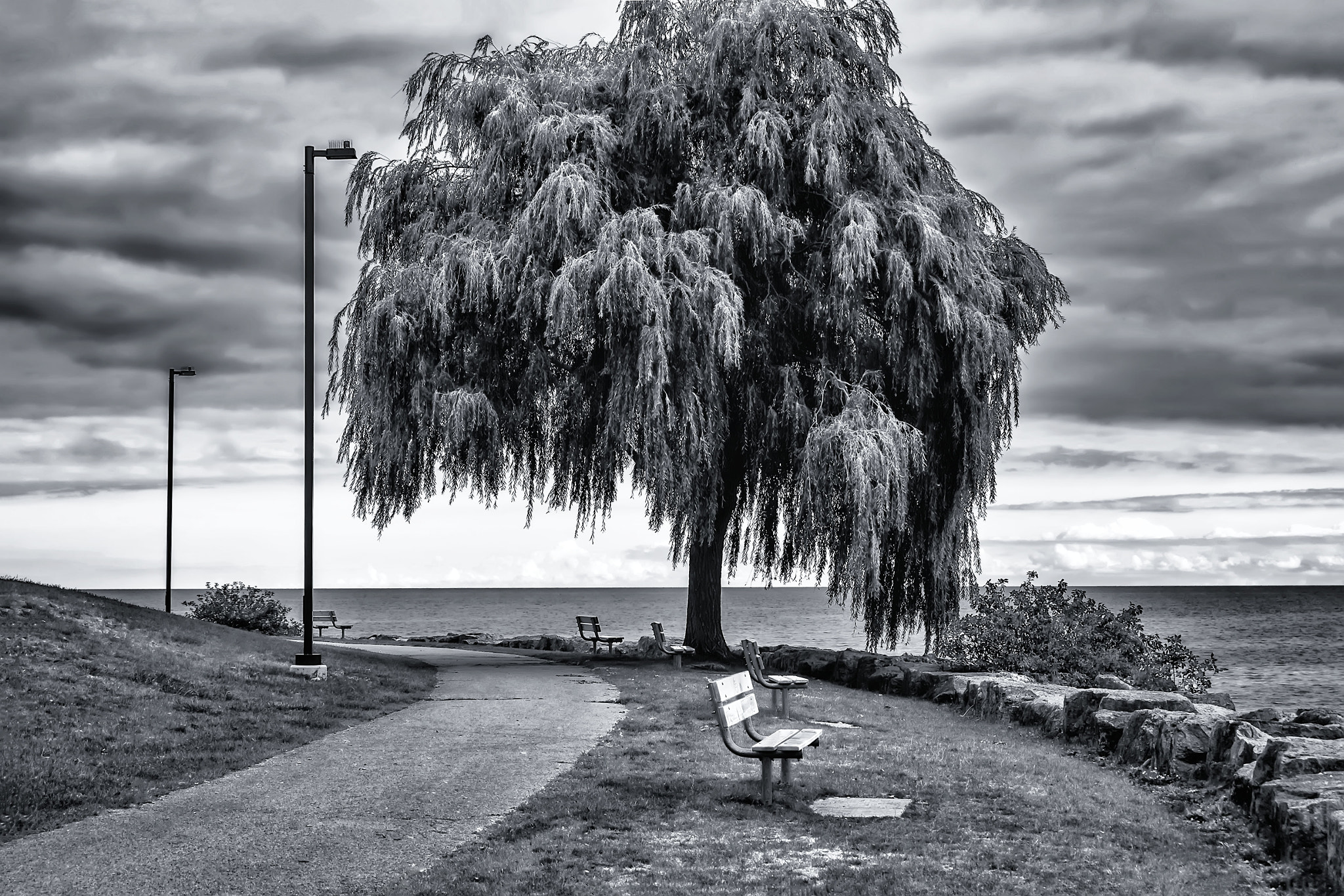 Fujifilm XC 16-50mm F3.5-5.6 OIS sample photo. Lakefront promenade park photography
