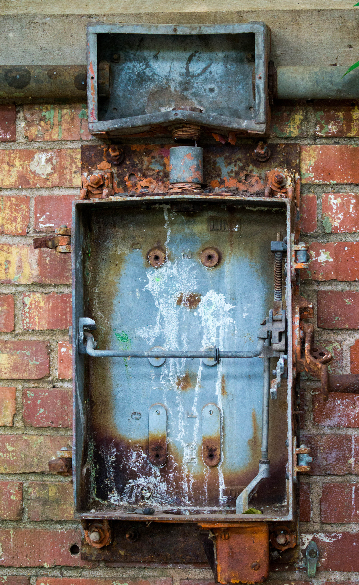 Sony SLT-A57 sample photo. Anger photography