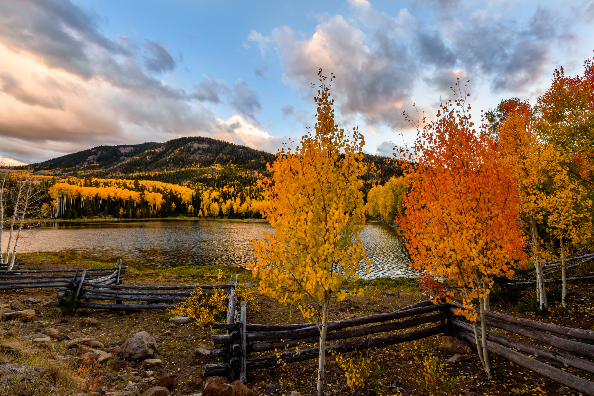 Samyang 14mm F2.8 ED AS IF UMC sample photo. Autumn's best, beaver mountain, utah photography