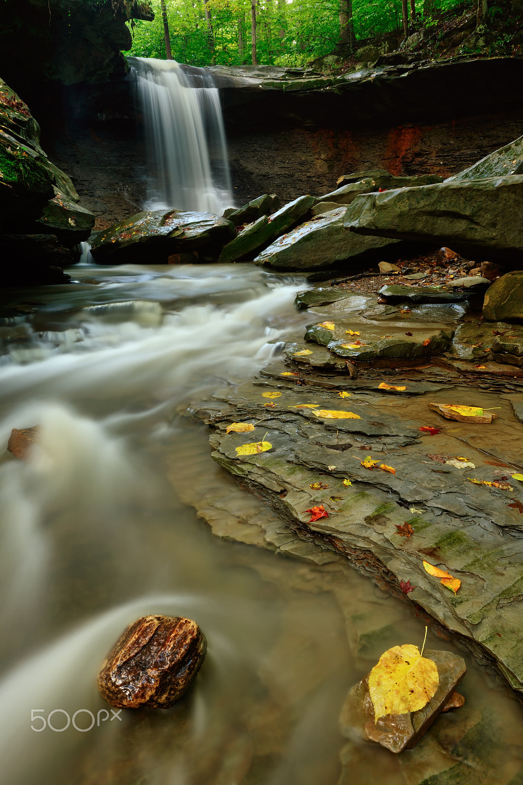 Nikon D3X sample photo. First inkling of fall photography