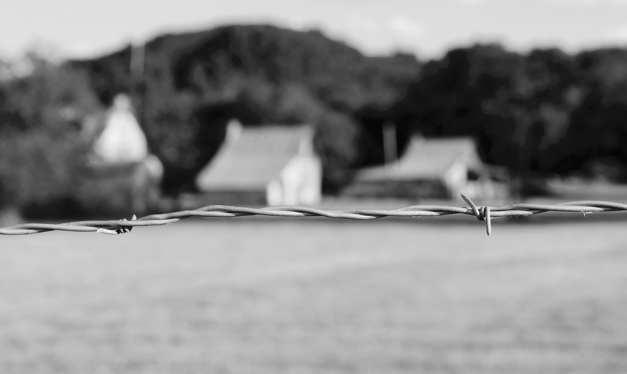 Canon EOS 100D (EOS Rebel SL1 / EOS Kiss X7) sample photo. Barb wire photography