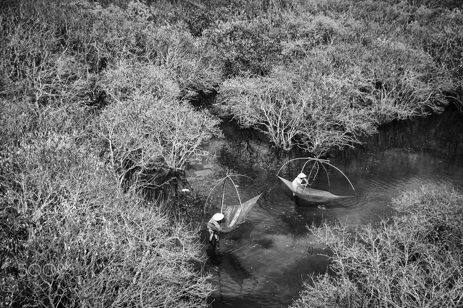 Nikon D300 sample photo. Ru cha mangroves photography