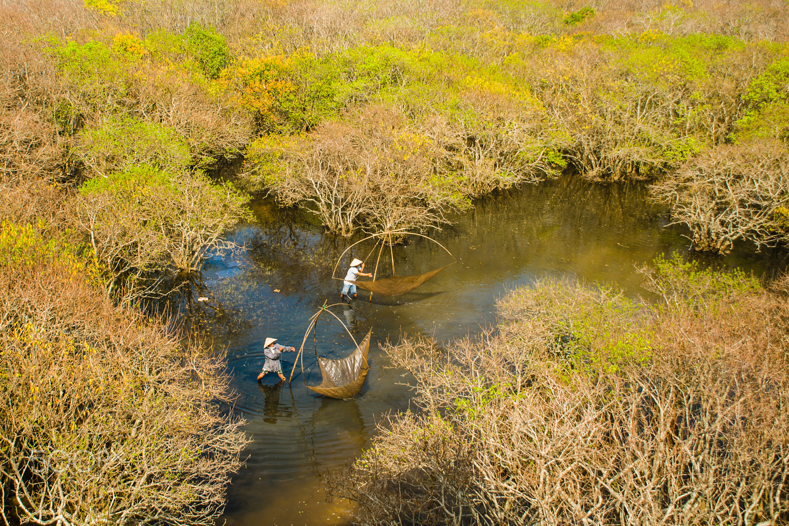 Nikon D300 sample photo. Ru cha mangroves photography