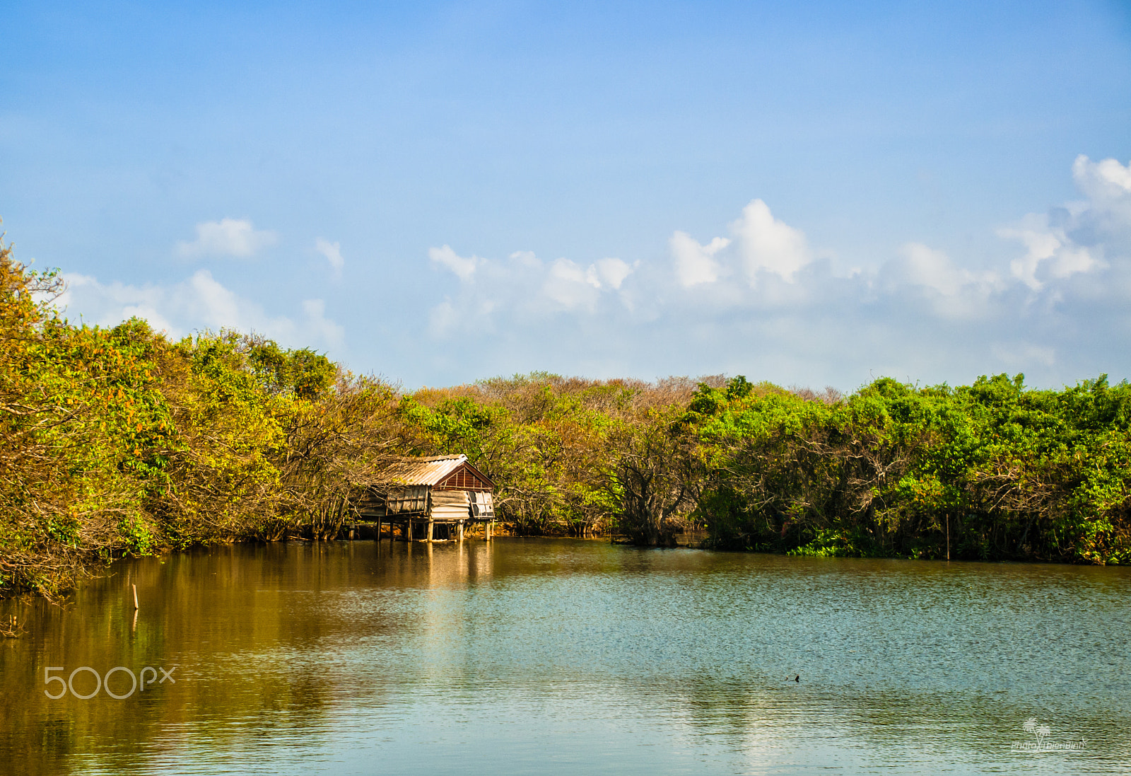 Nikon D300 sample photo. Ru cha mangroves photography